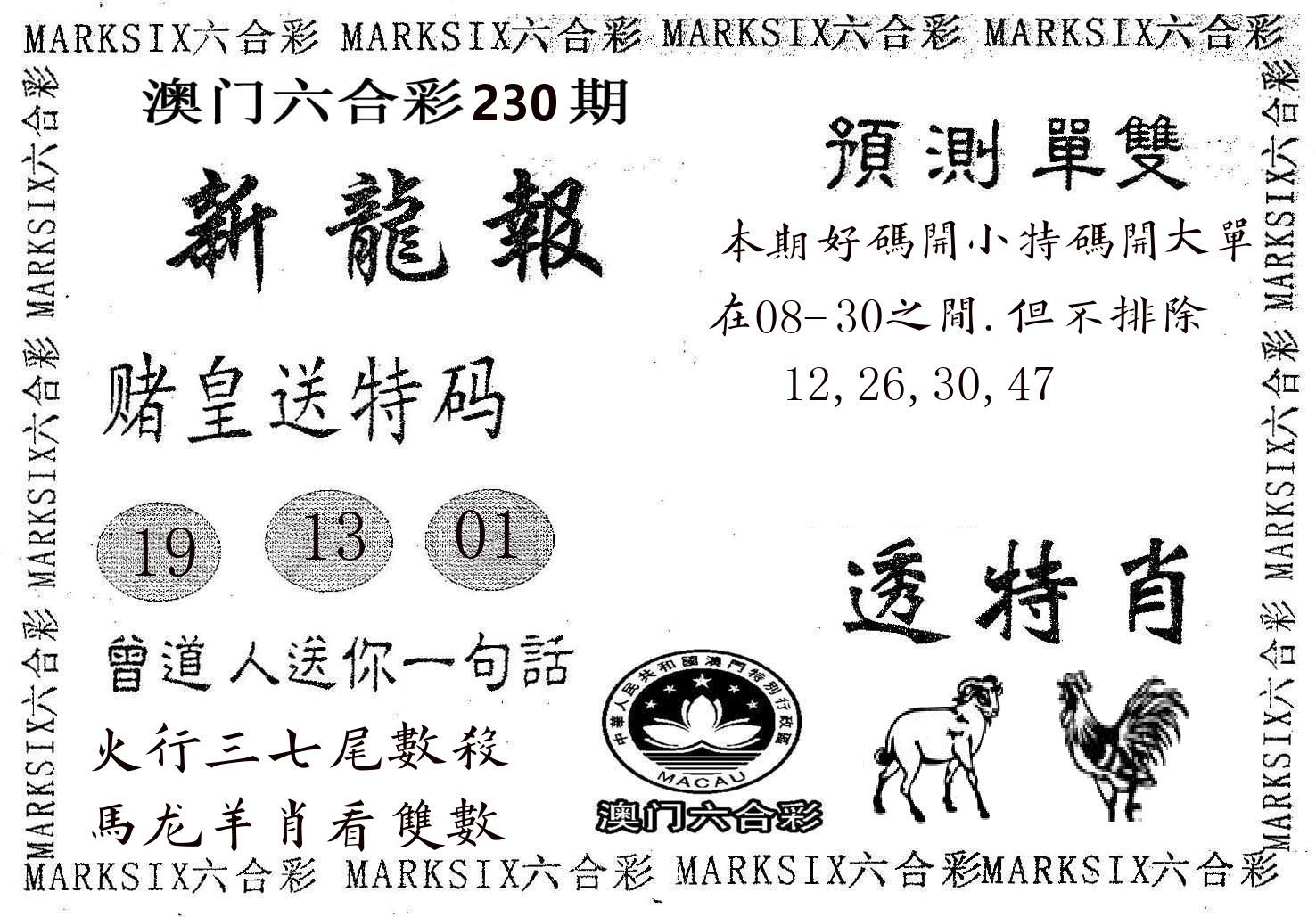 新龙报 第230期