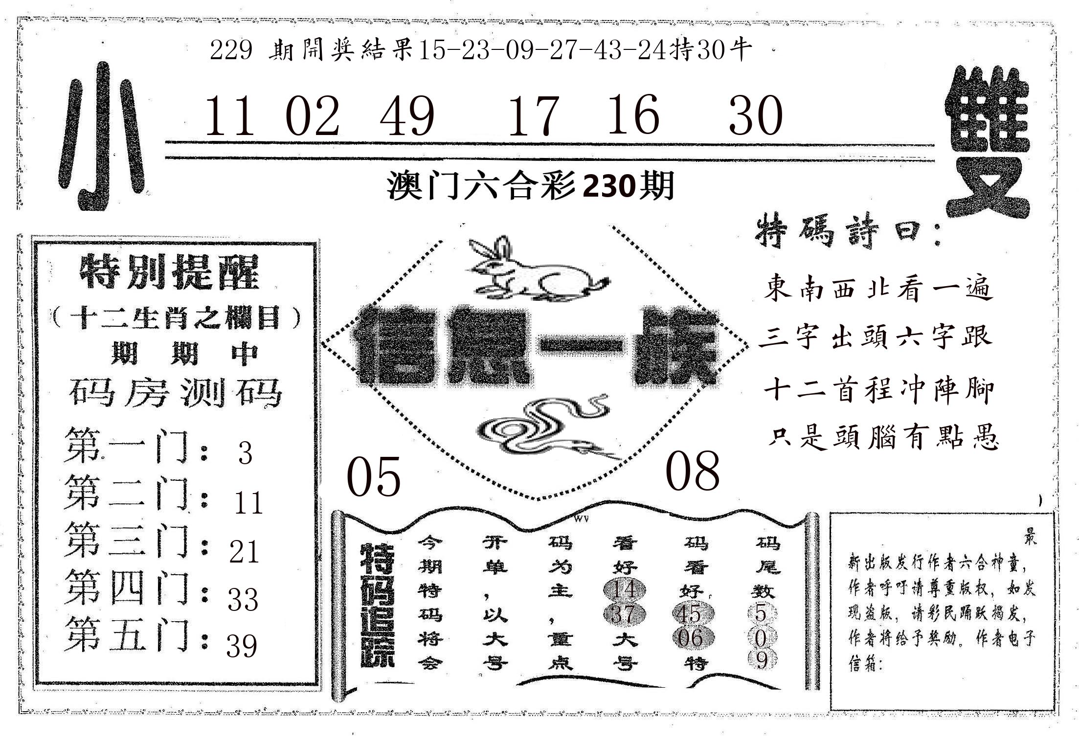 信息一族 第230期