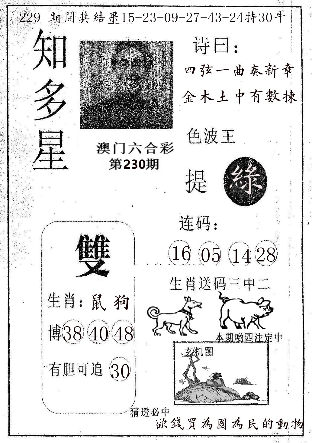 知多星 第230期