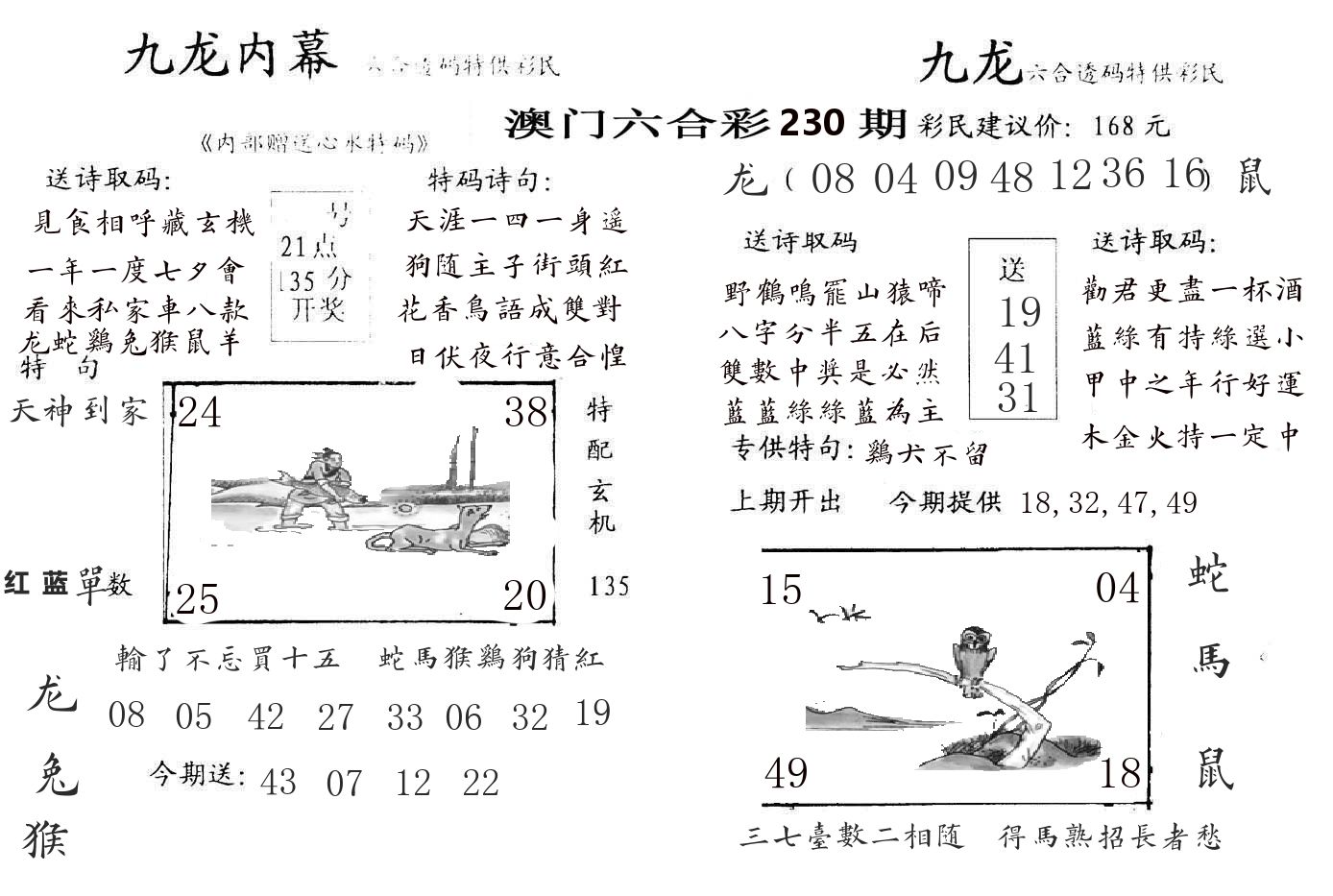 九龙内幕 第230期
