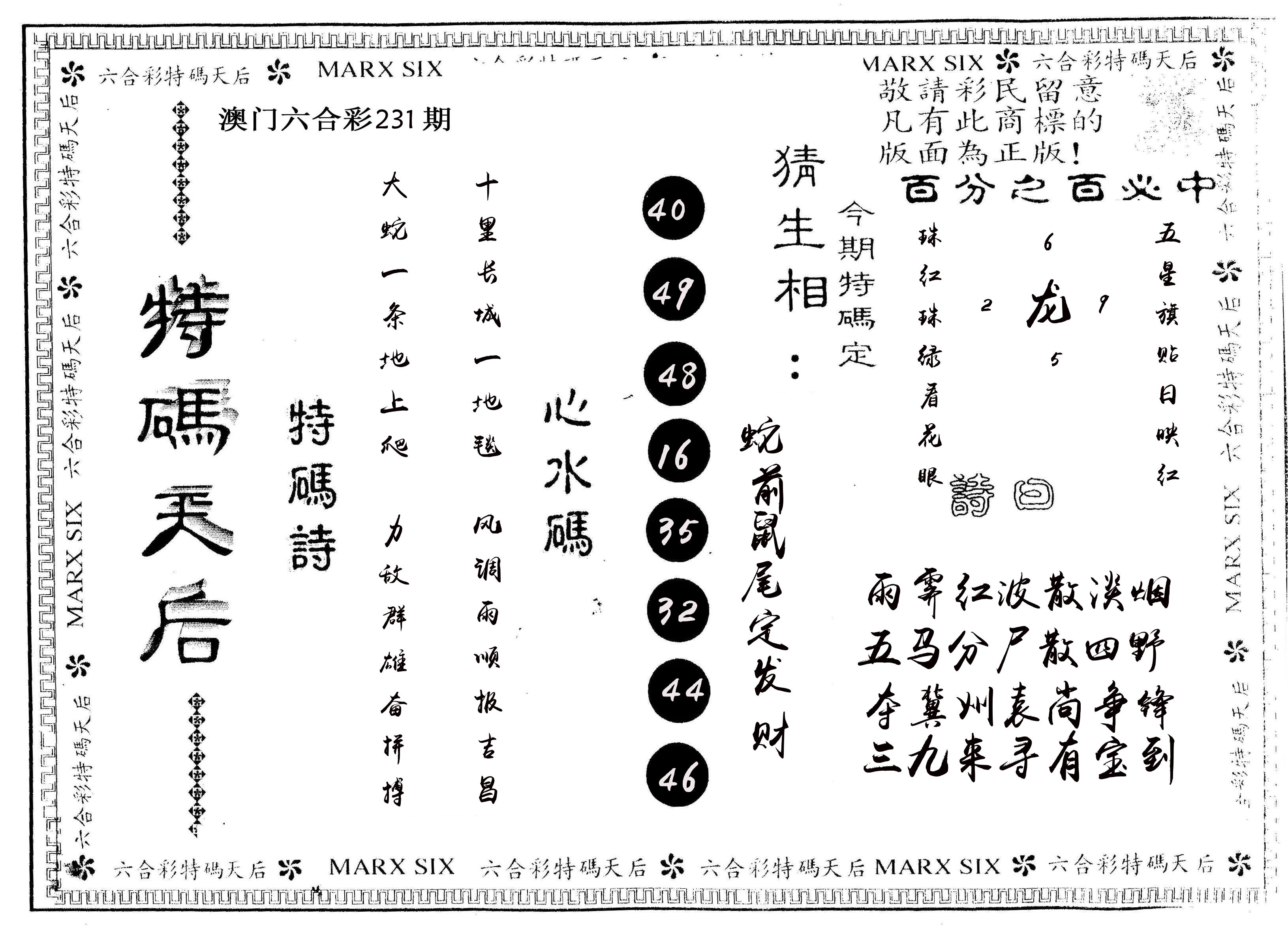 另版特码天后 第231期