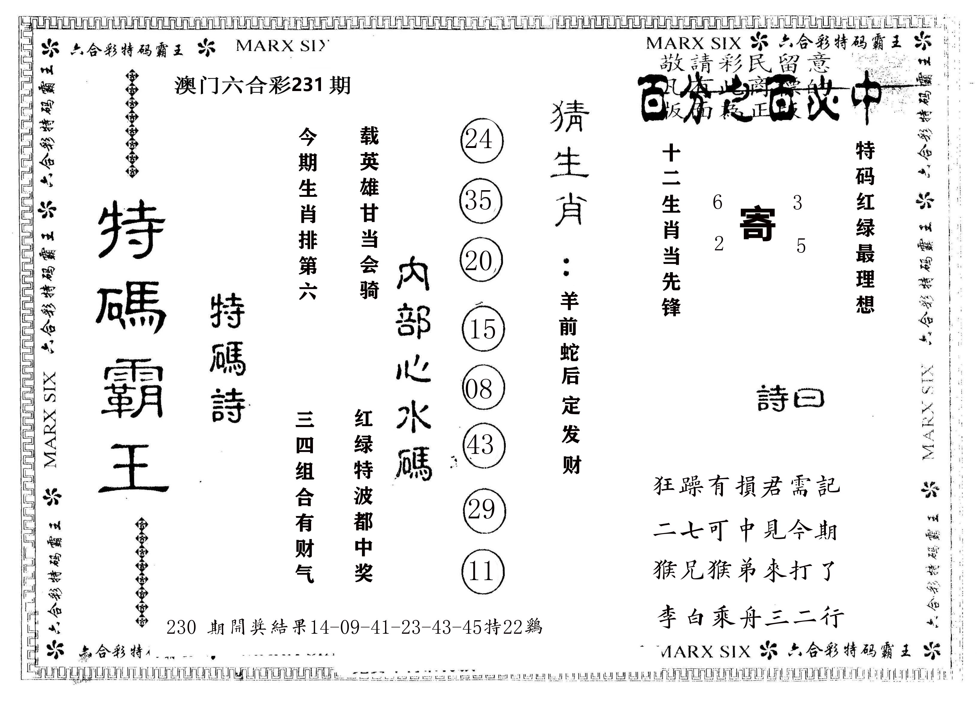 另版特码霸王 第231期