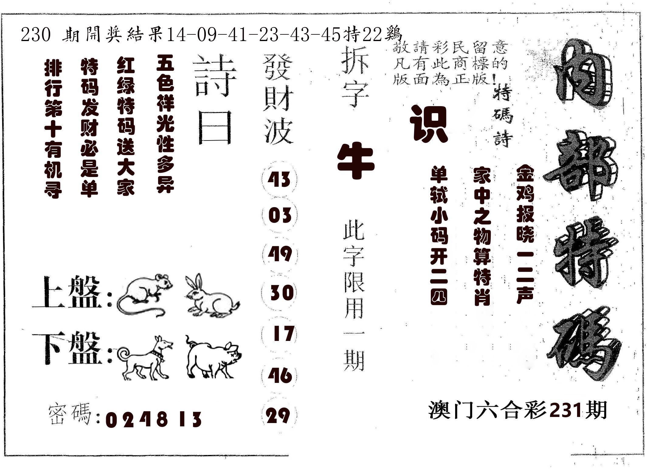 内部特码 第231期