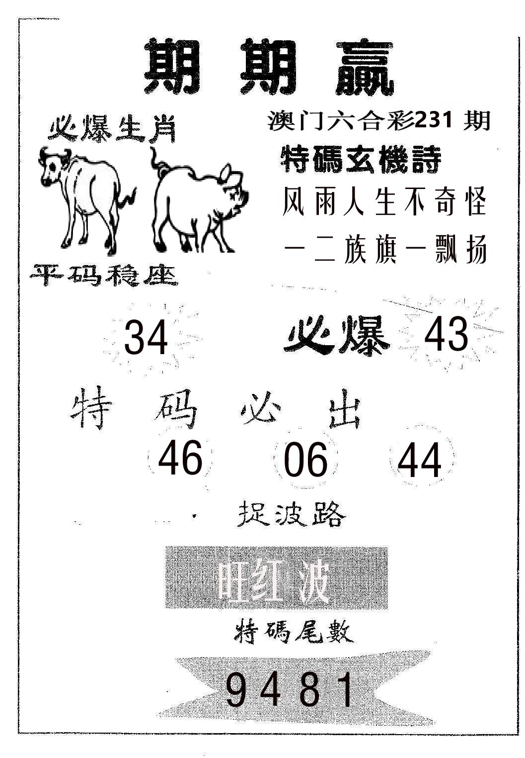 期期赢 第231期
