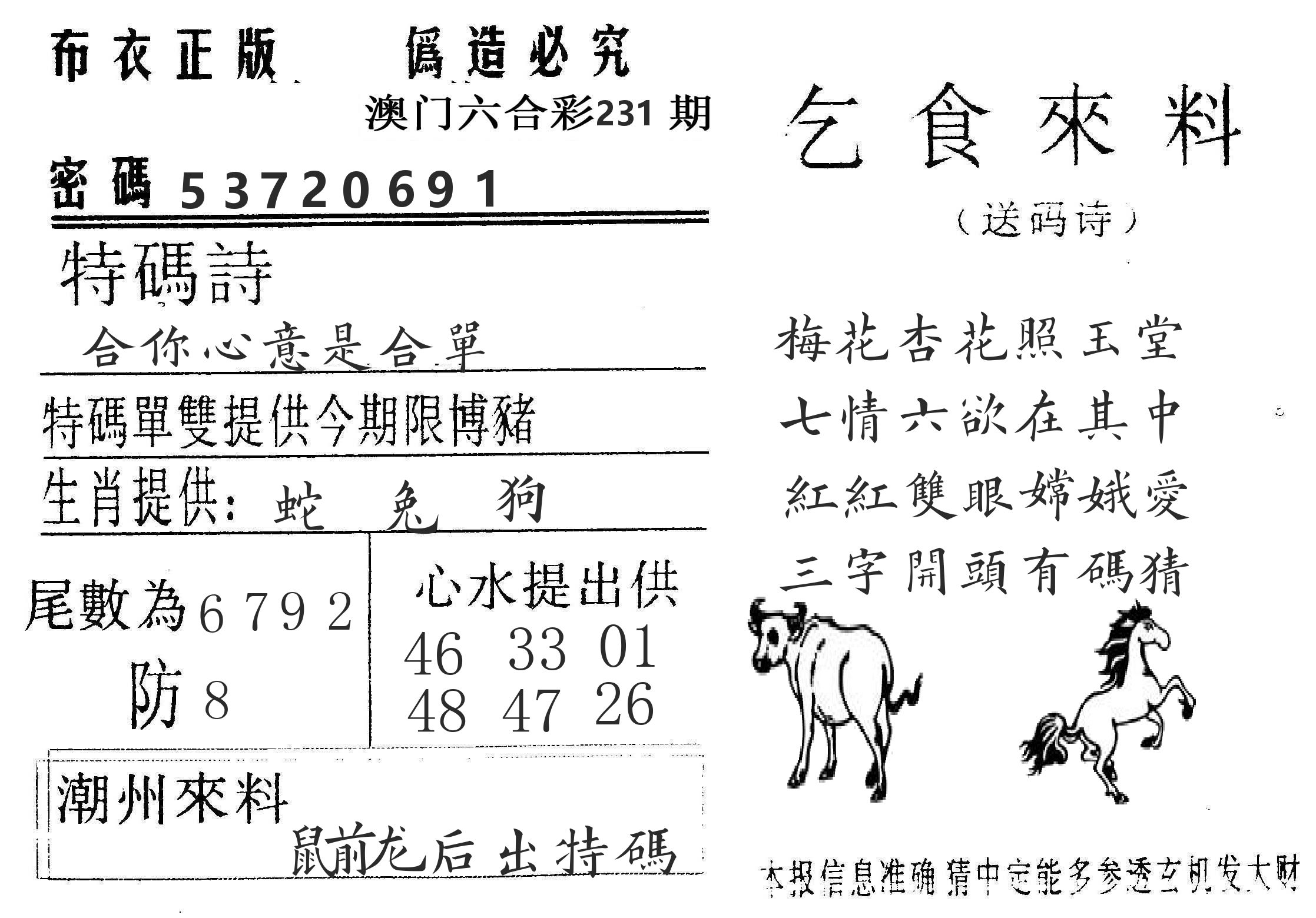 千禧码王 第231期