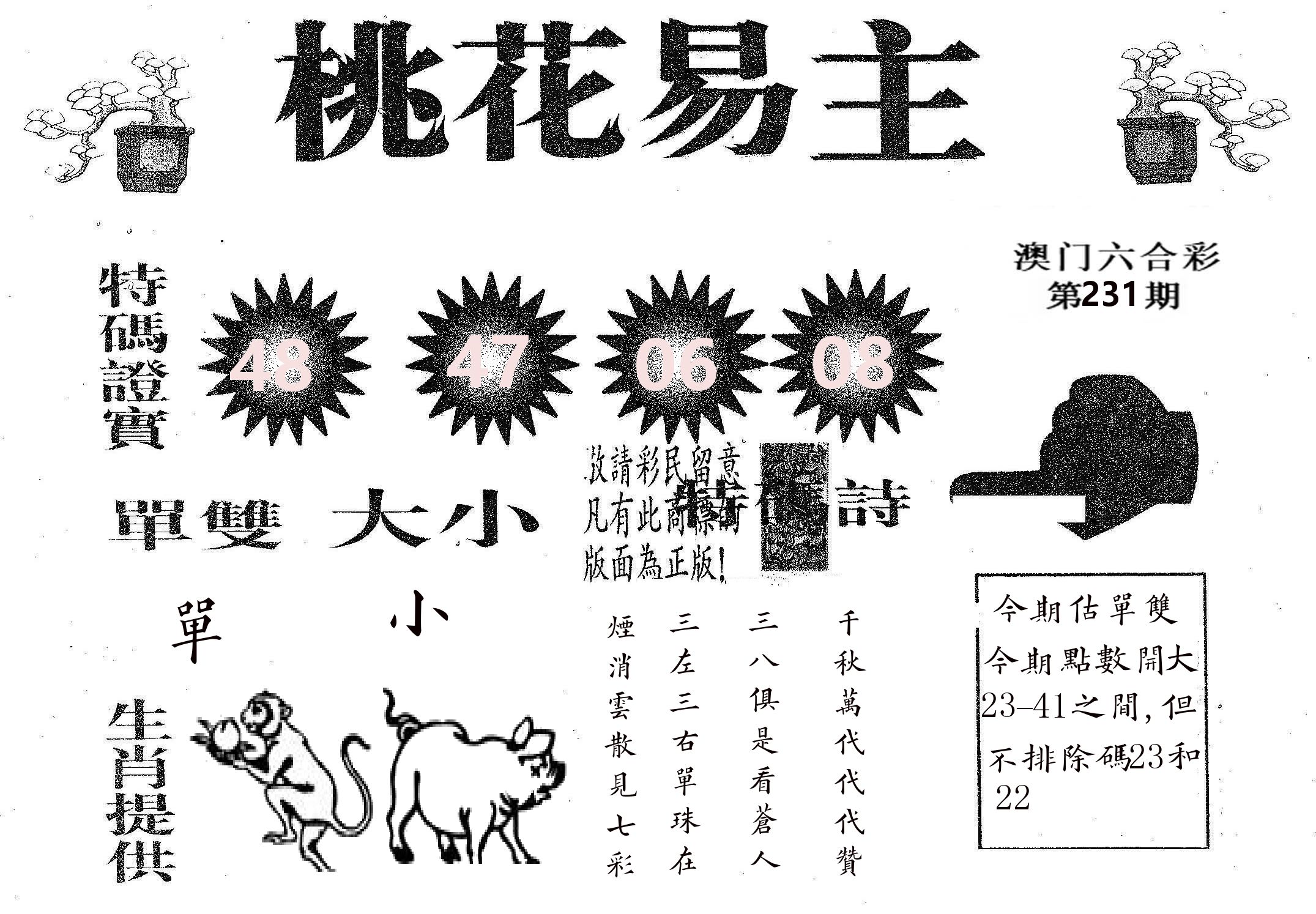 桃花易主 第231期
