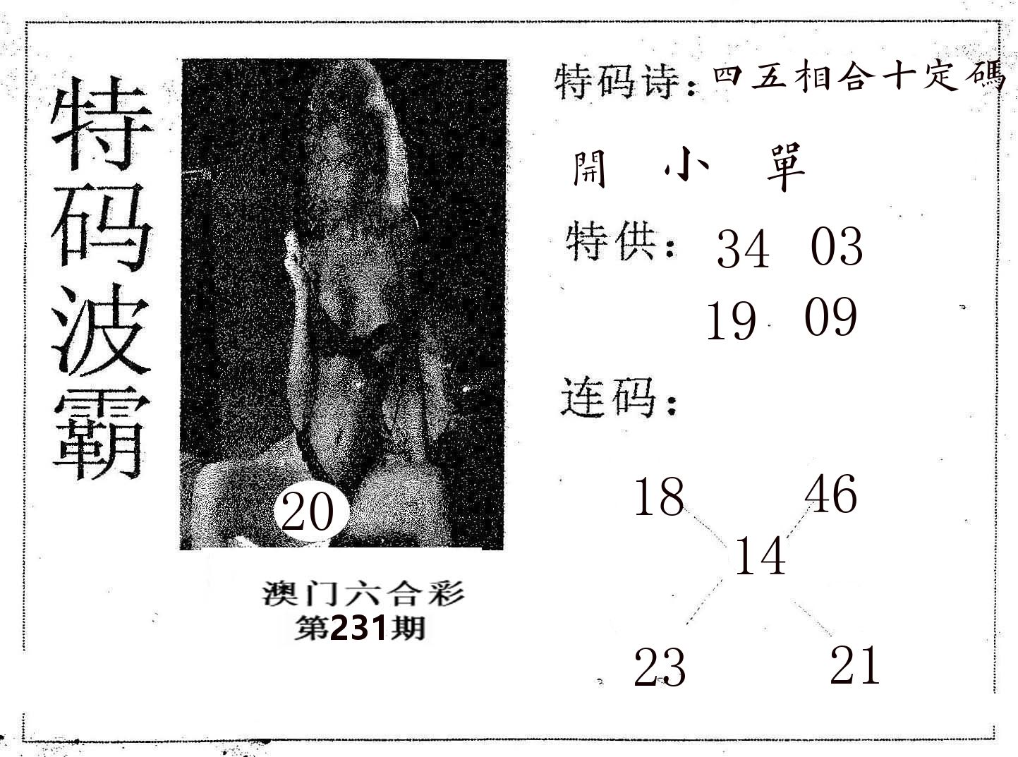 特码波霸 第231期