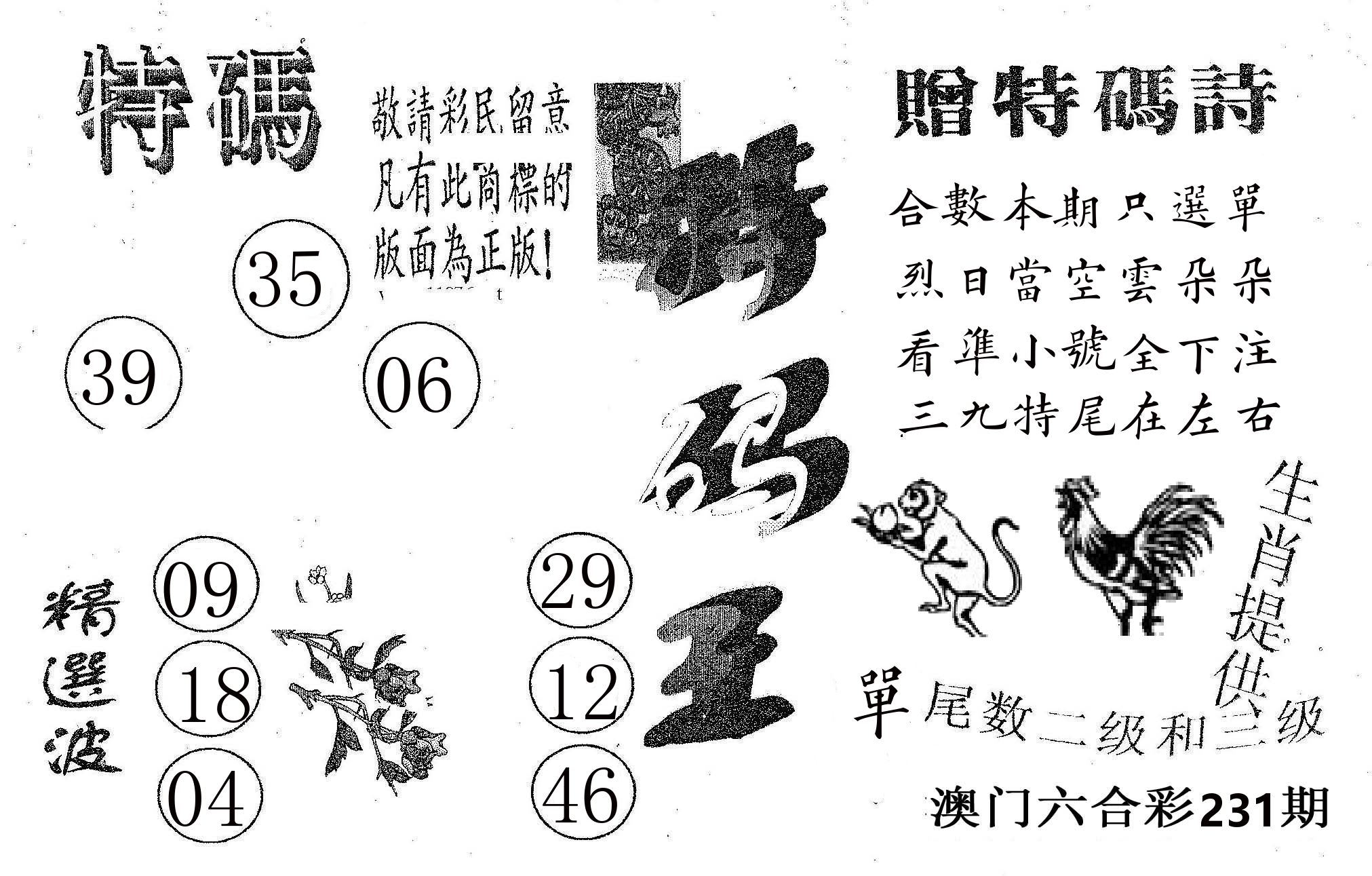 特码王A 第231期