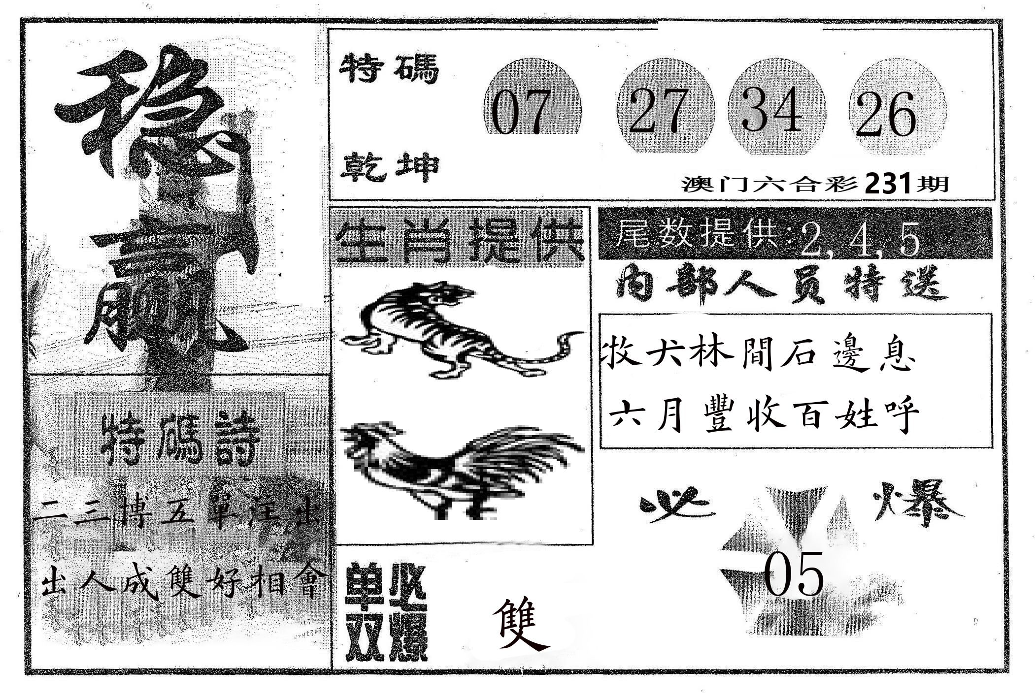 稳赢 第231期