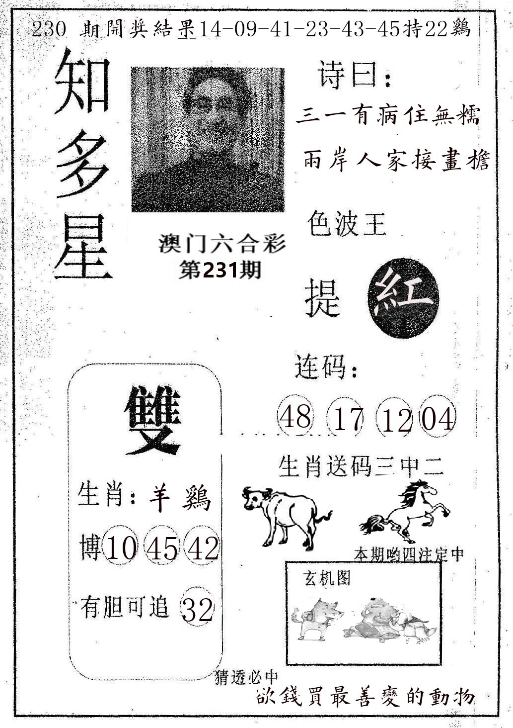 知多星 第231期
