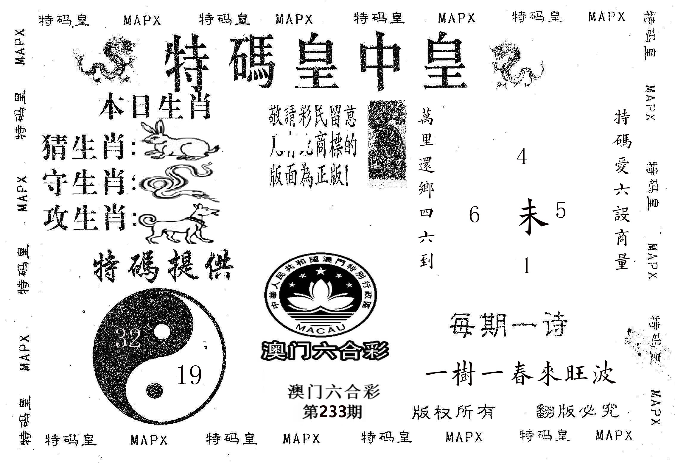 皇中皇B 第233期