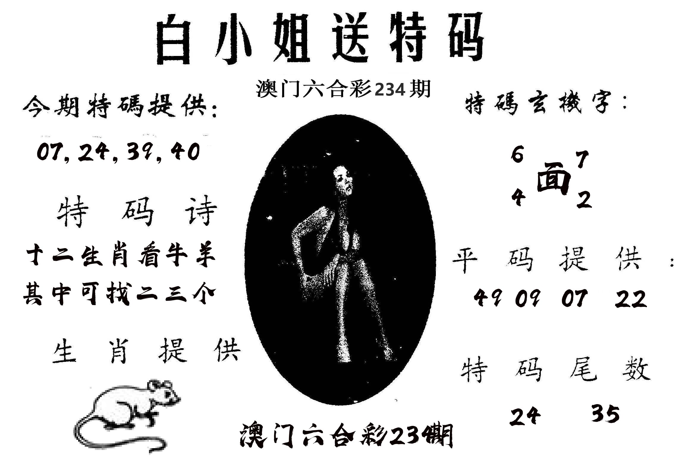 白姐送特 第234期