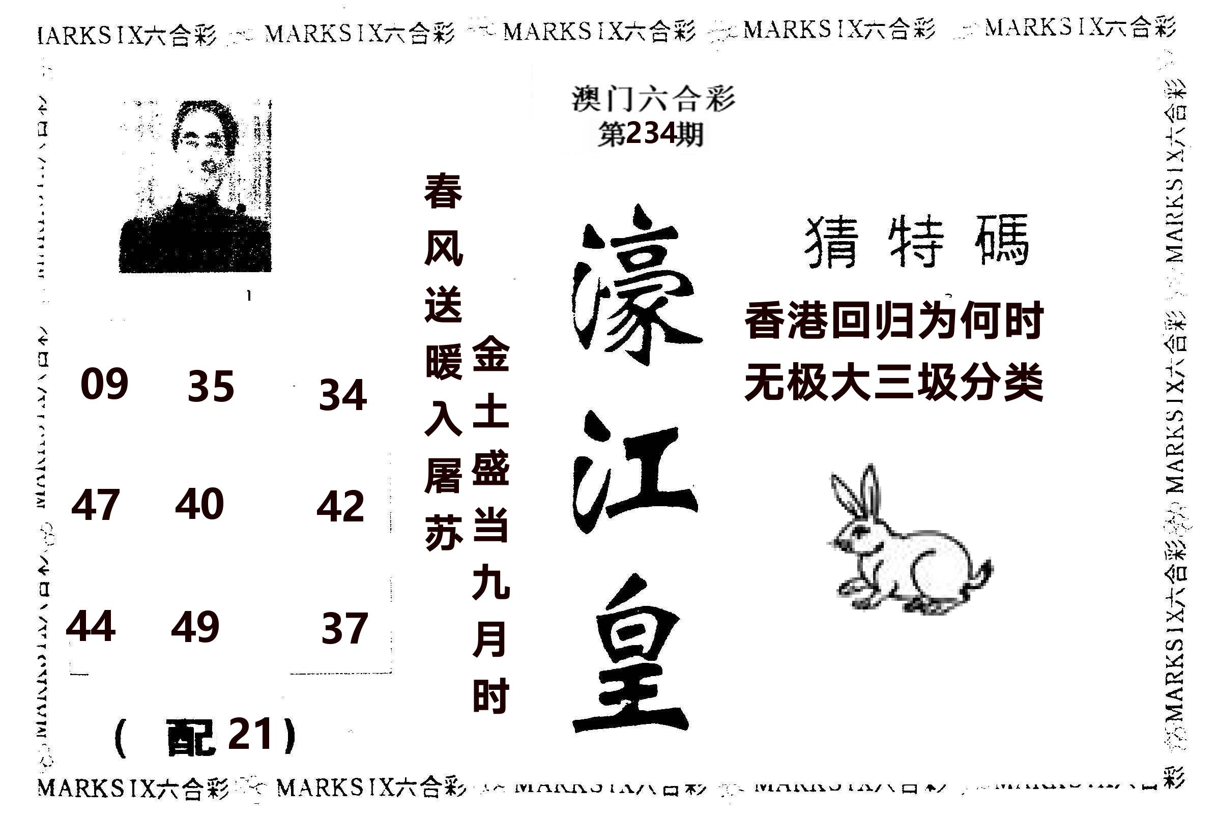 濠江皇 第234期
