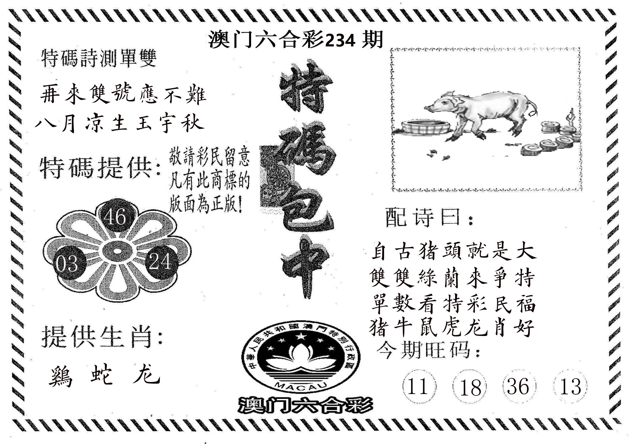 特码包中 第234期