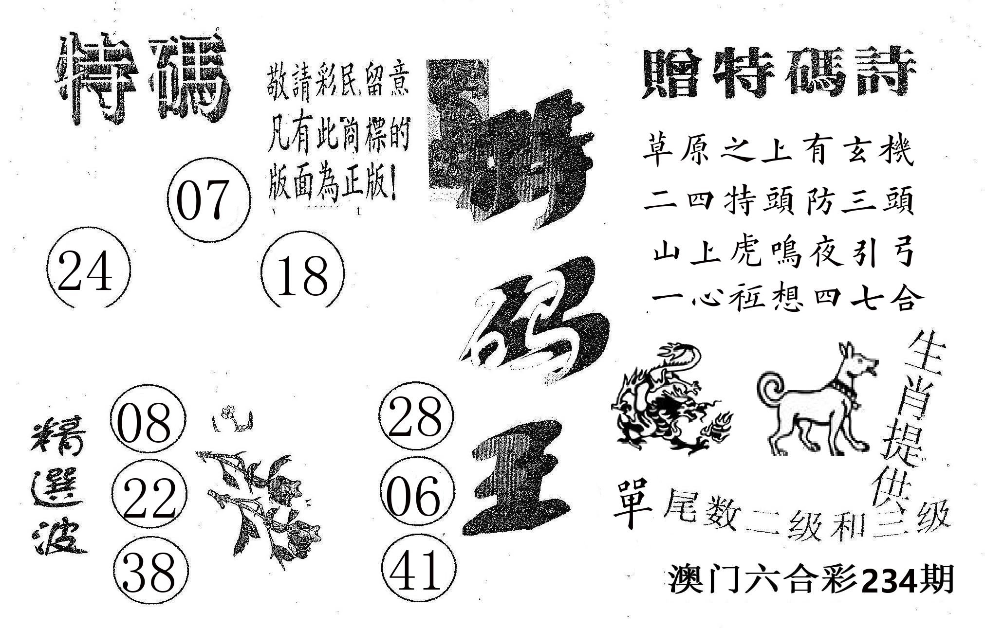 特码王A 第234期