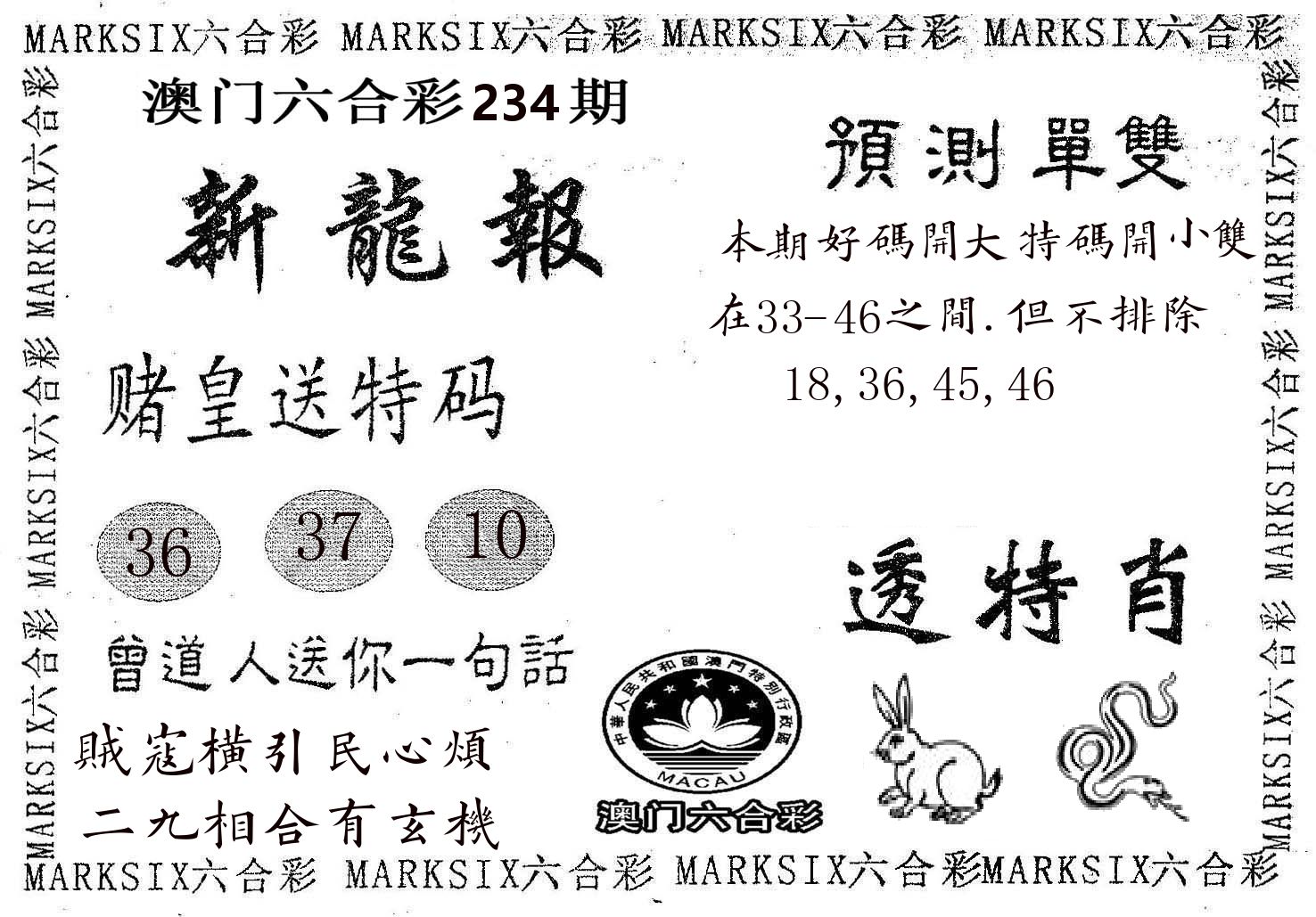 新龙报 第234期