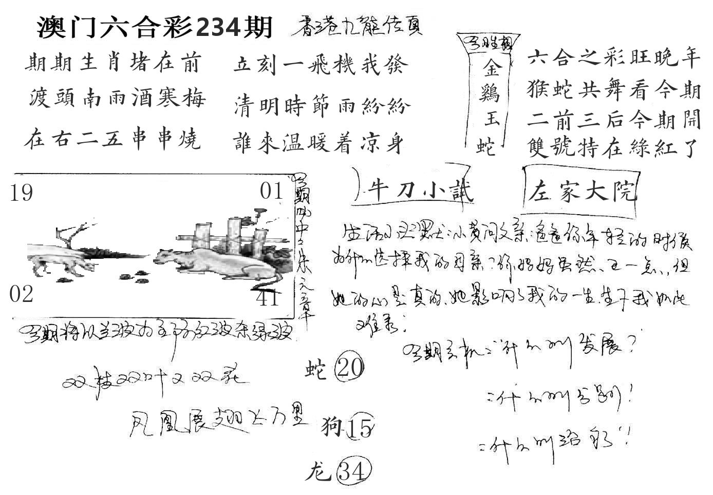 澳门手写九龙 第234期