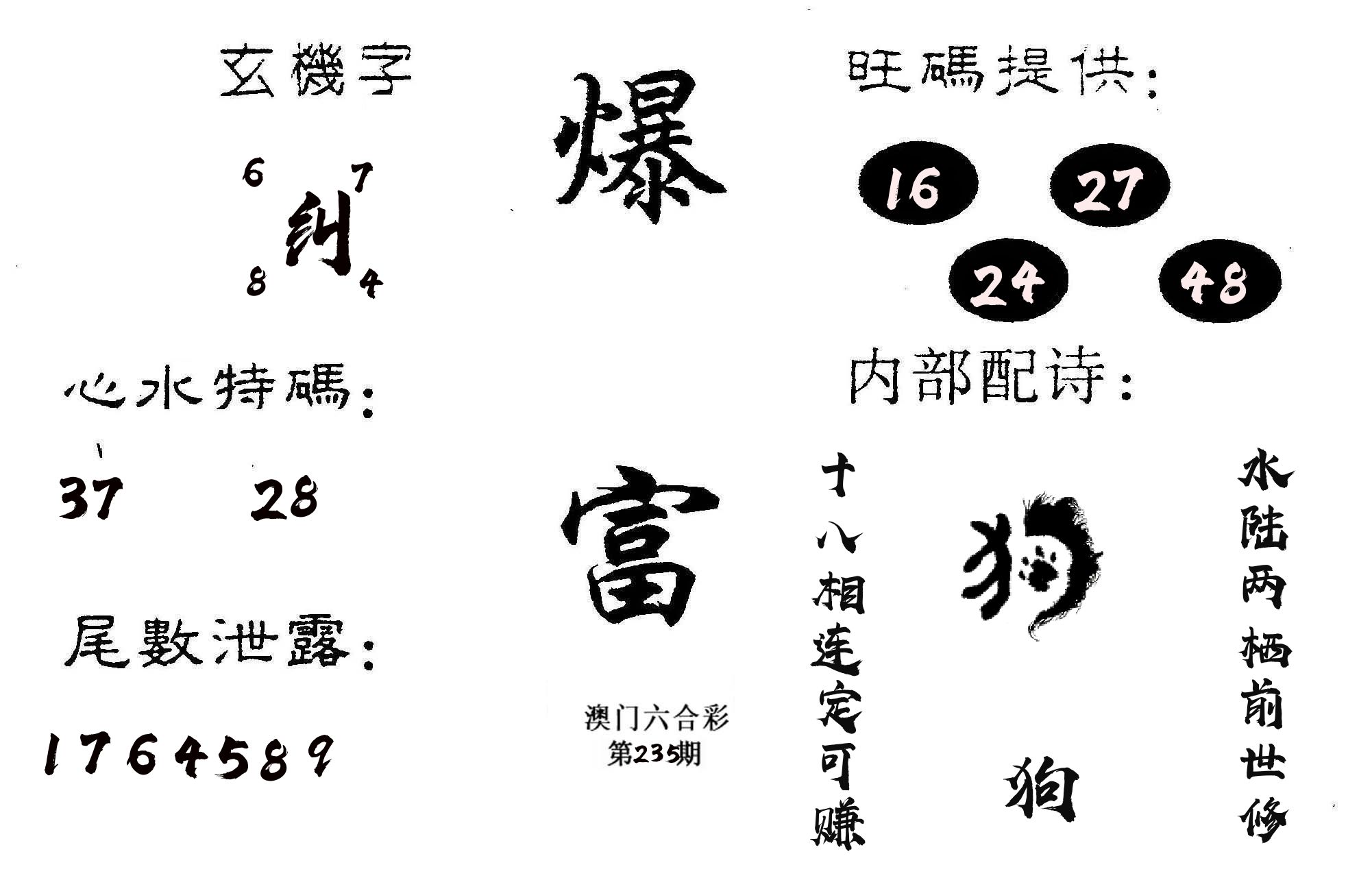 爆富 第235期