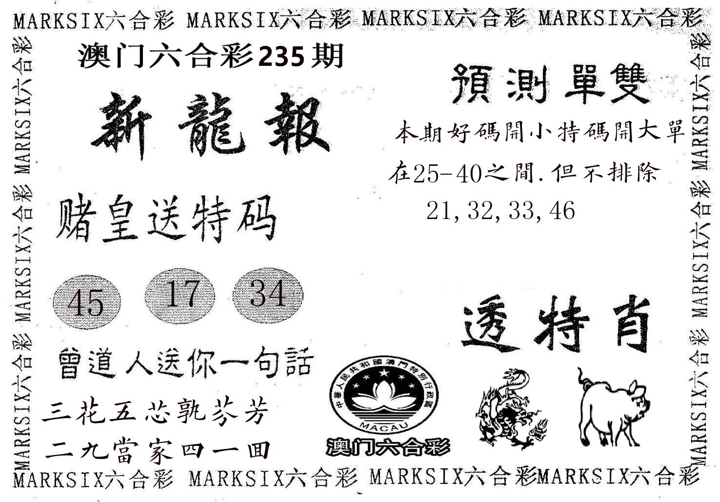 新龙报 第235期