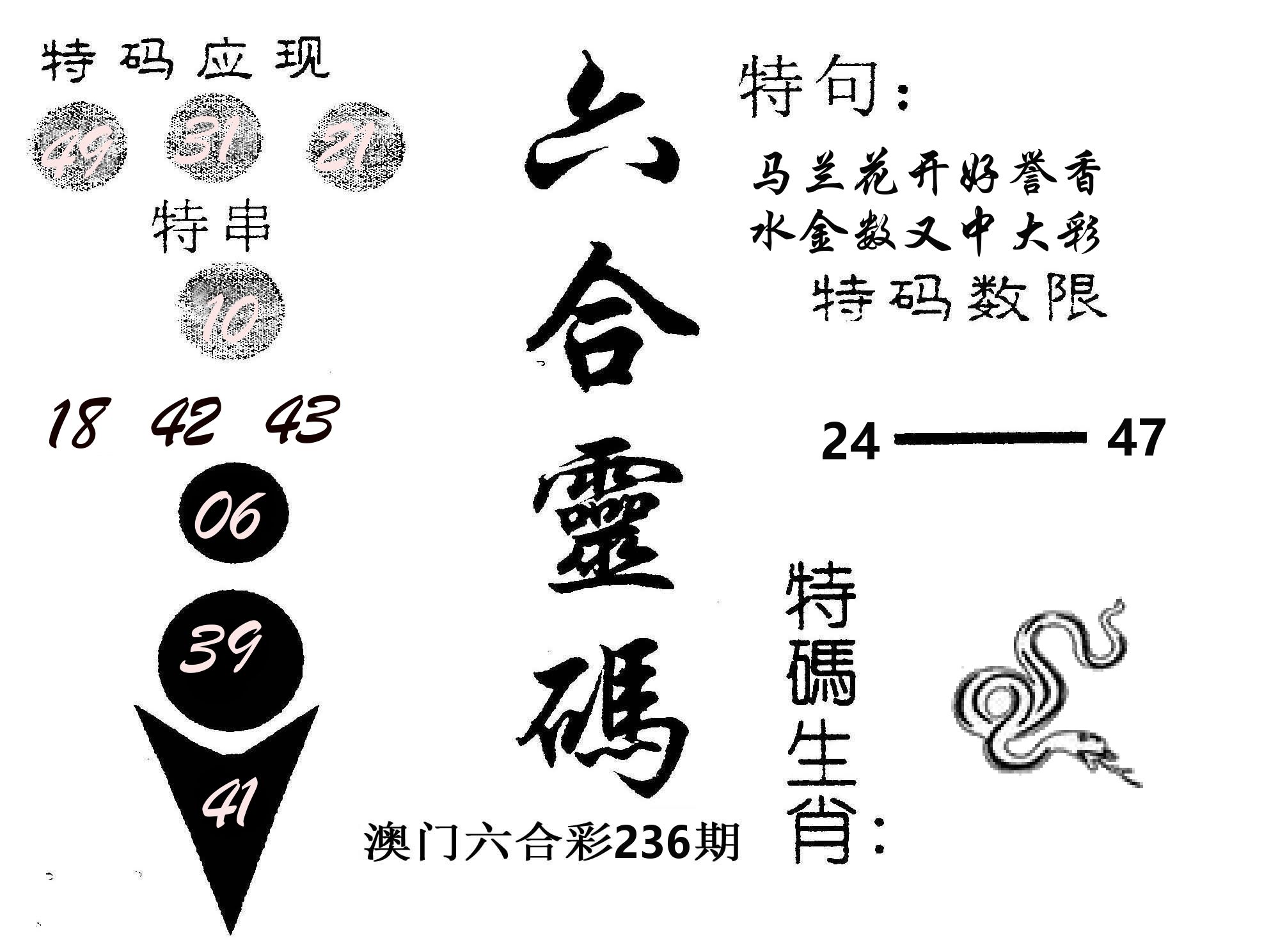 六合灵码 第236期