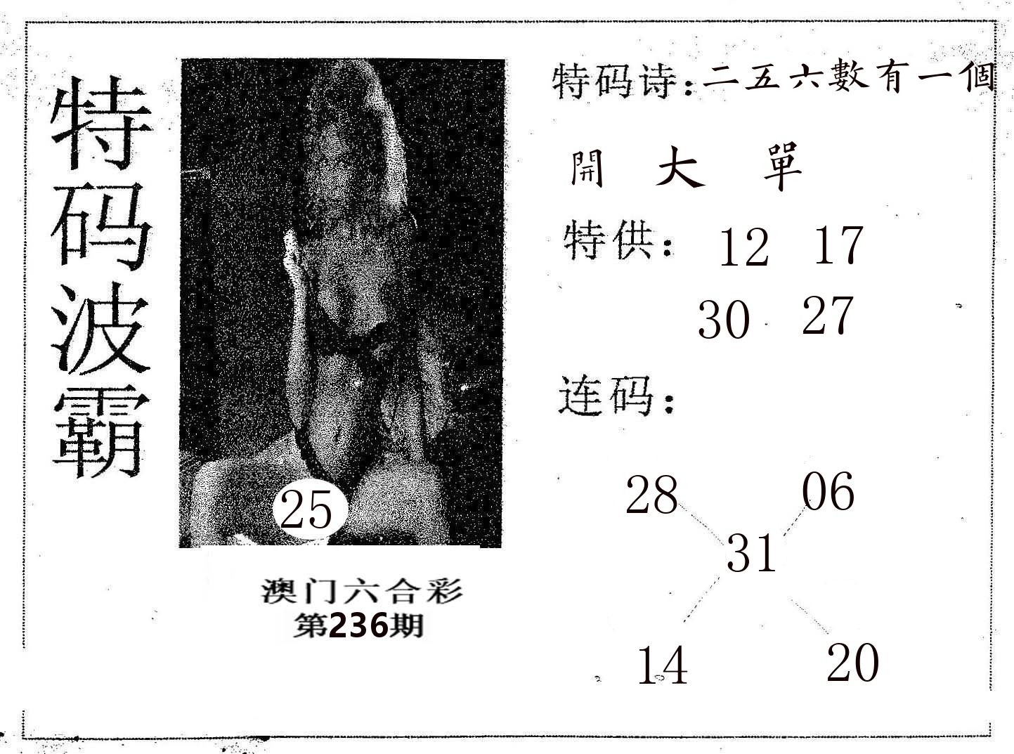 特码波霸 第236期