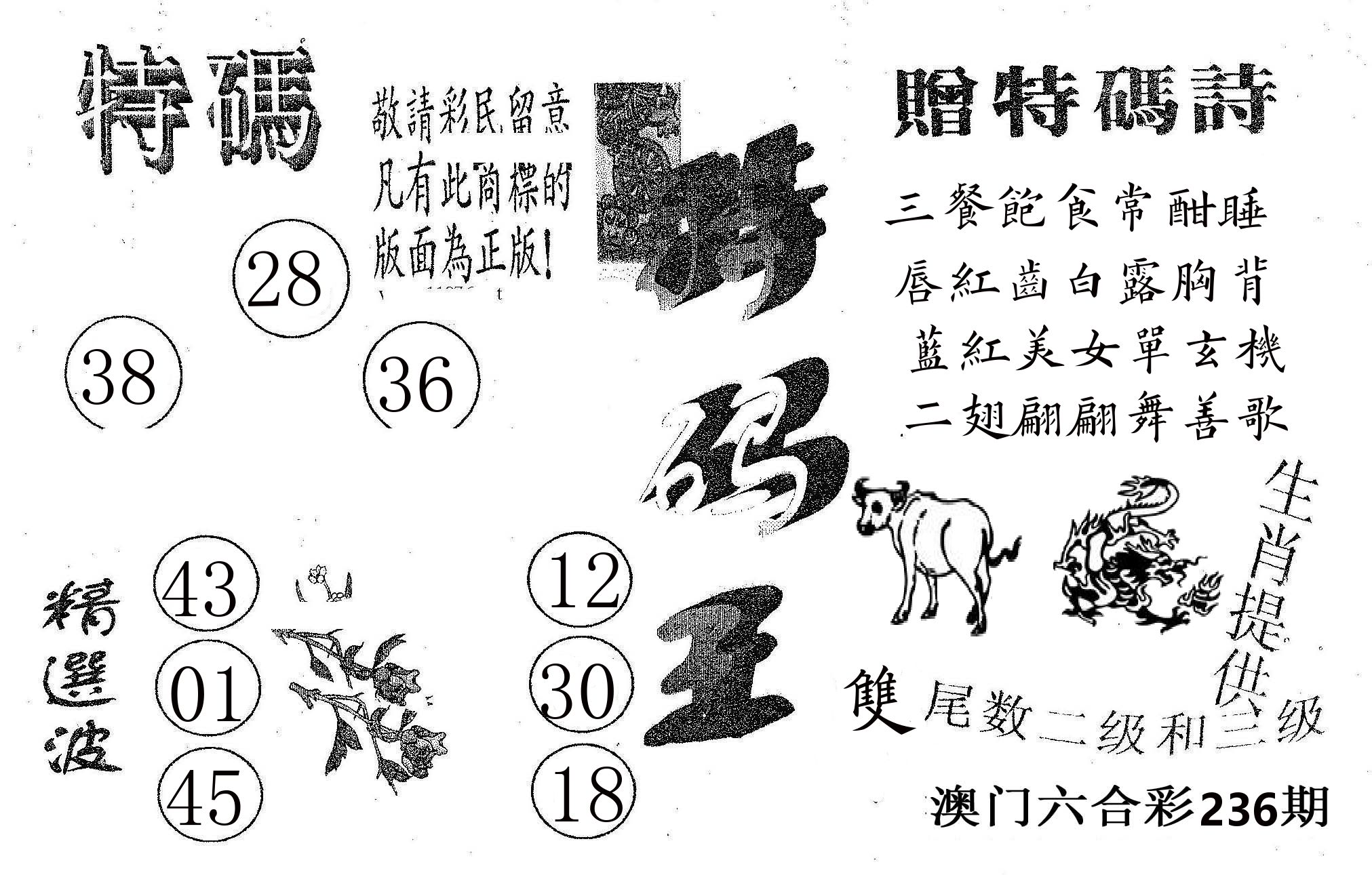 特码王A 第236期