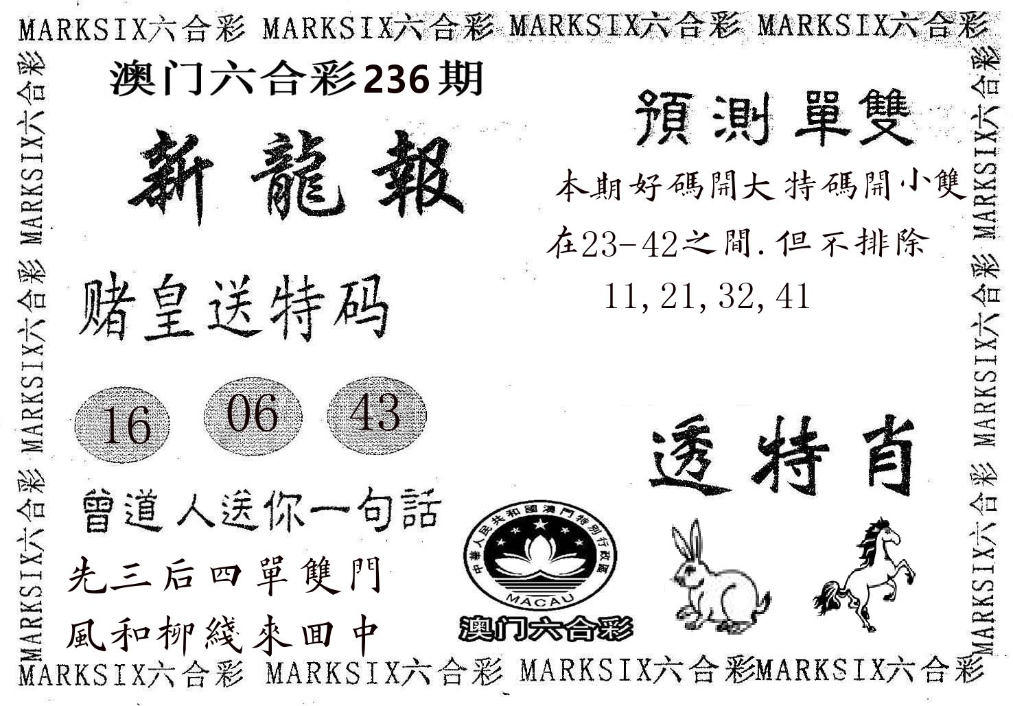 新龙报 第236期