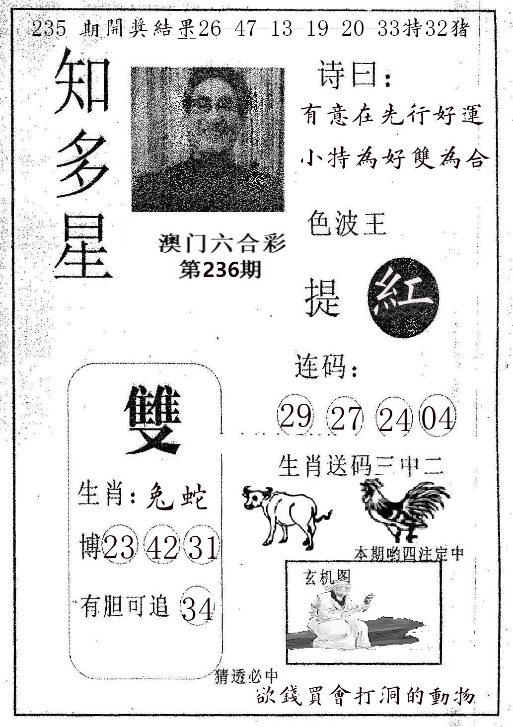 知多星 第236期