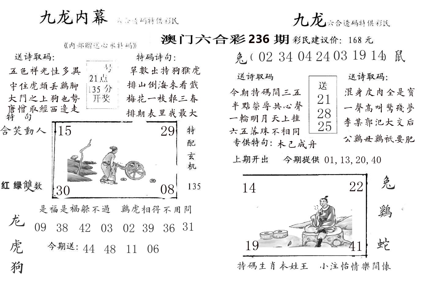 九龙内幕 第236期