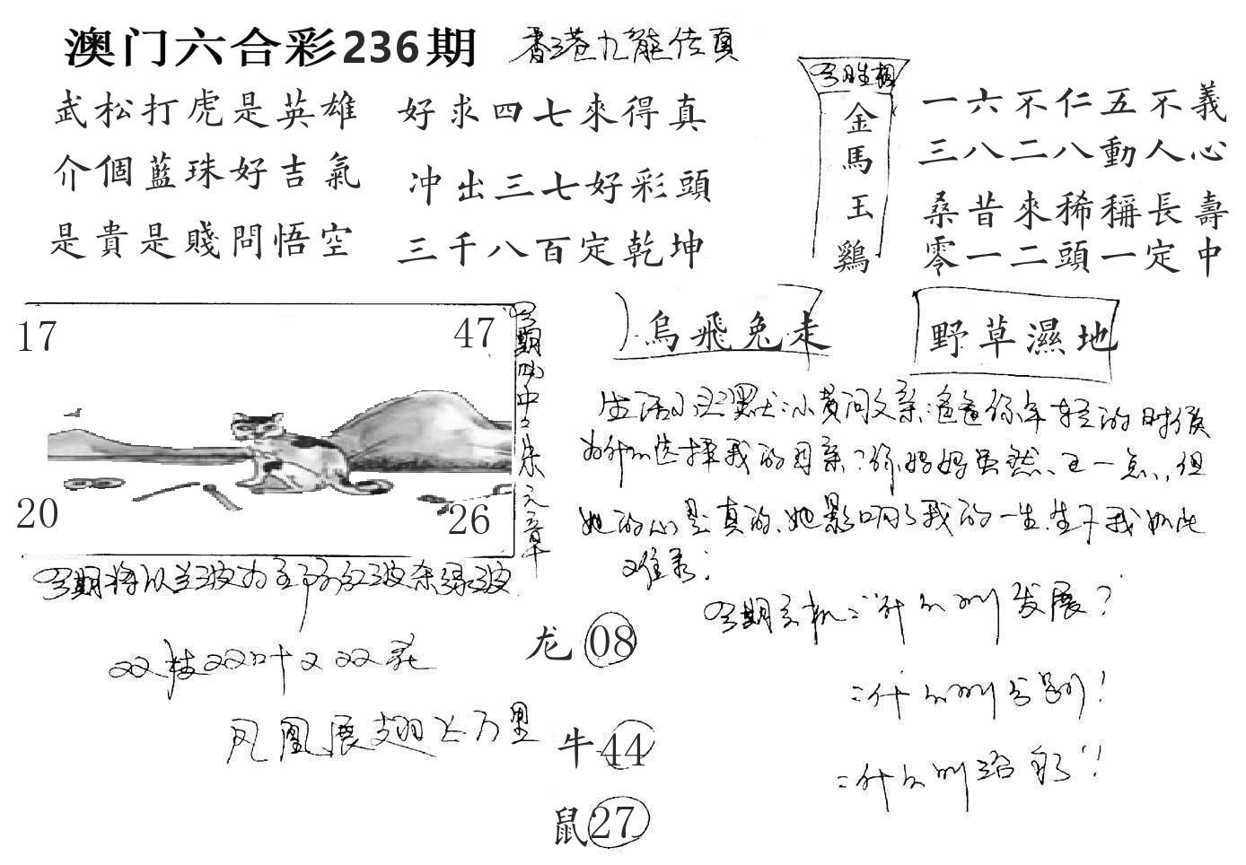 澳门手写九龙 第236期