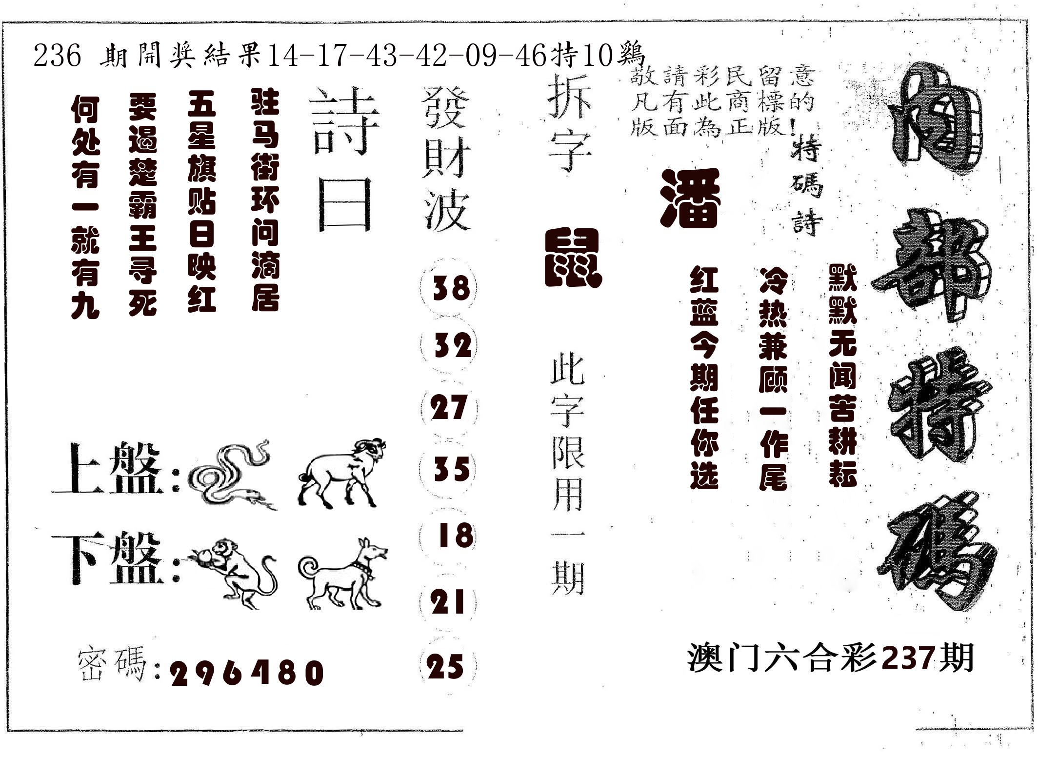 内部特码 第237期