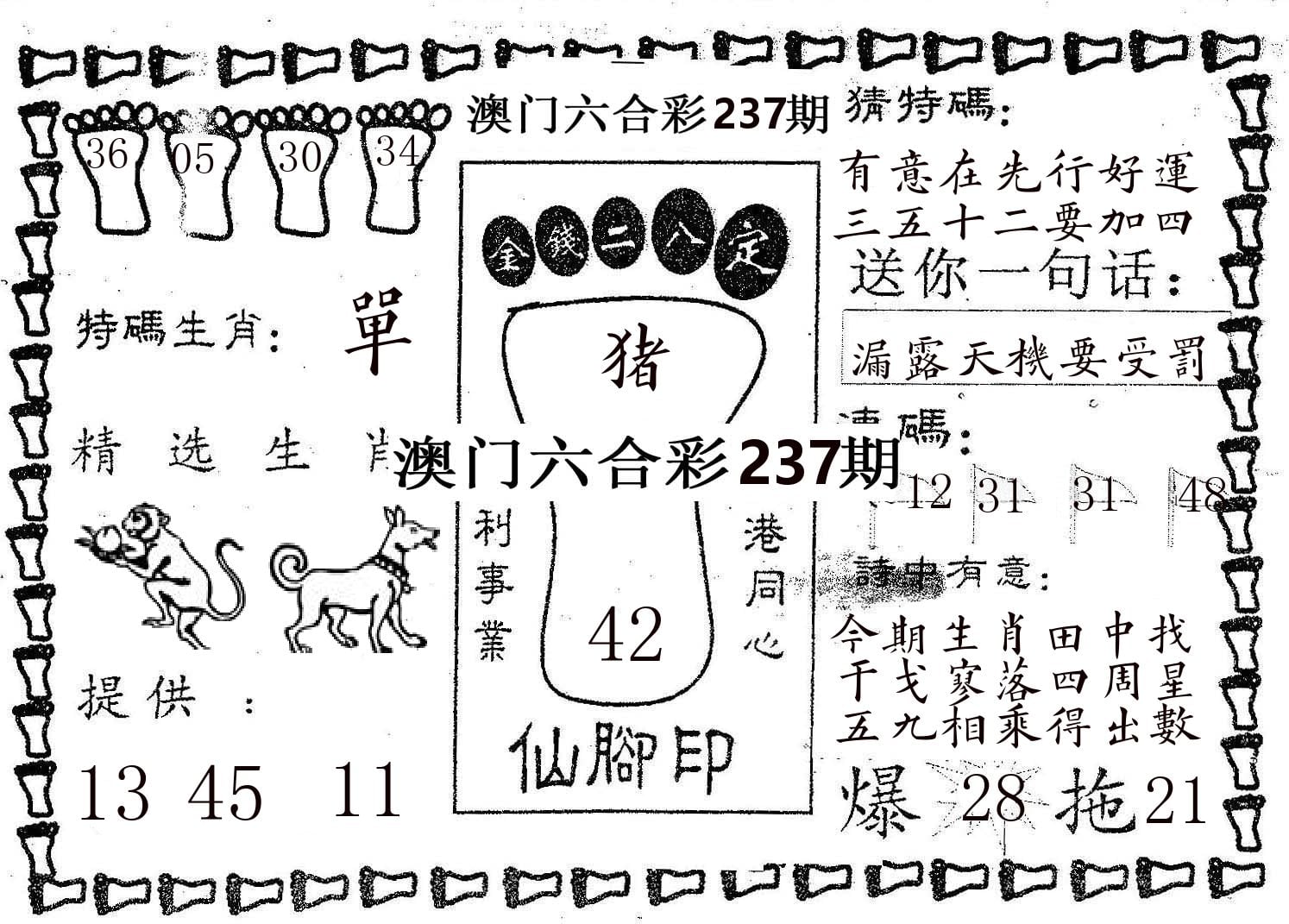 仙脚印 第237期