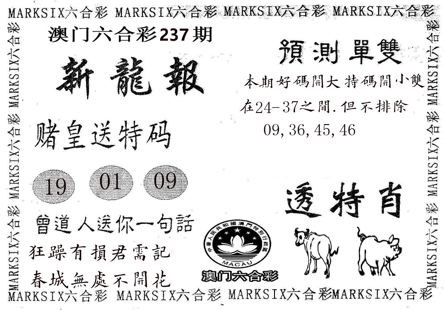 新龙报 第237期