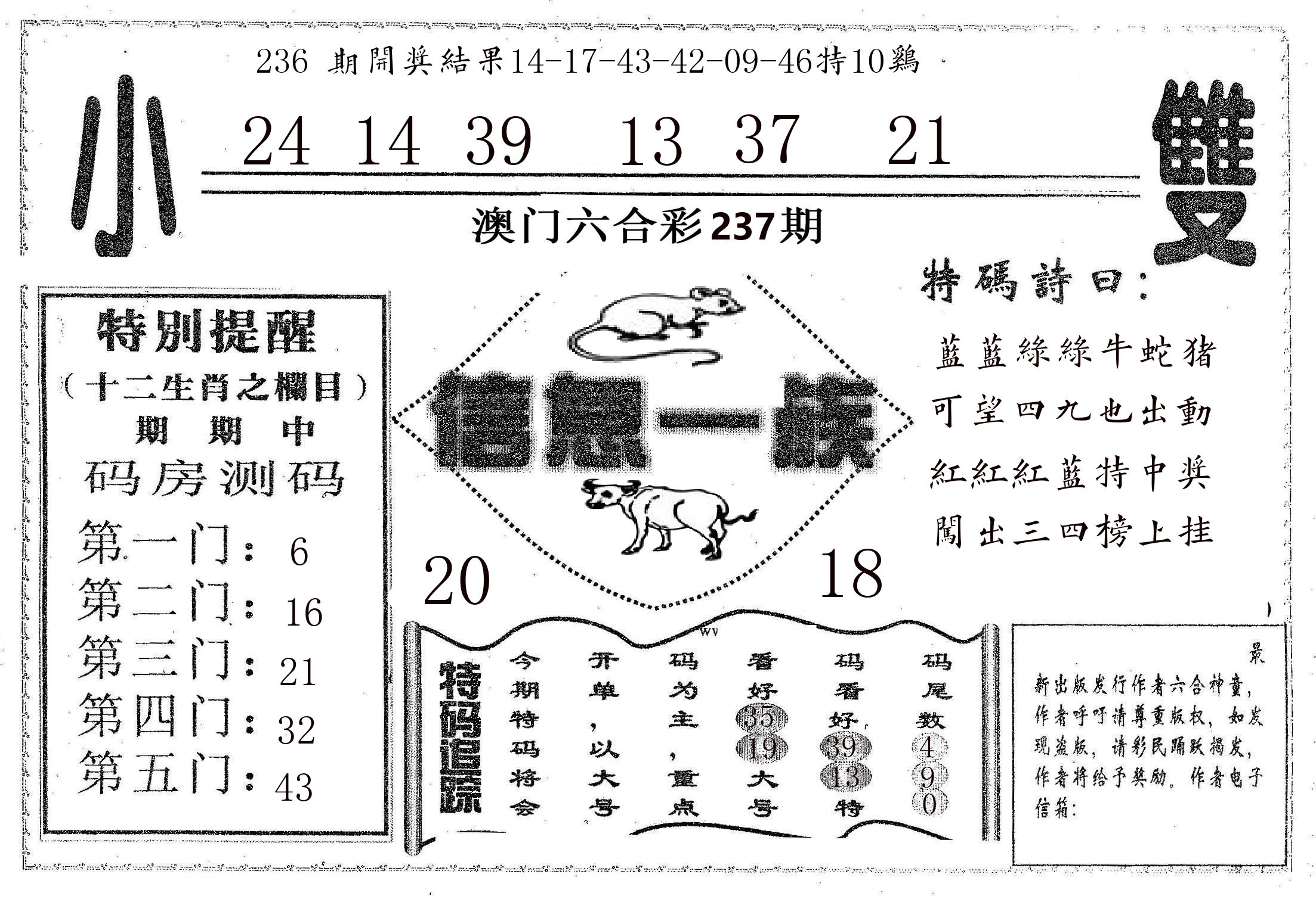信息一族 第237期