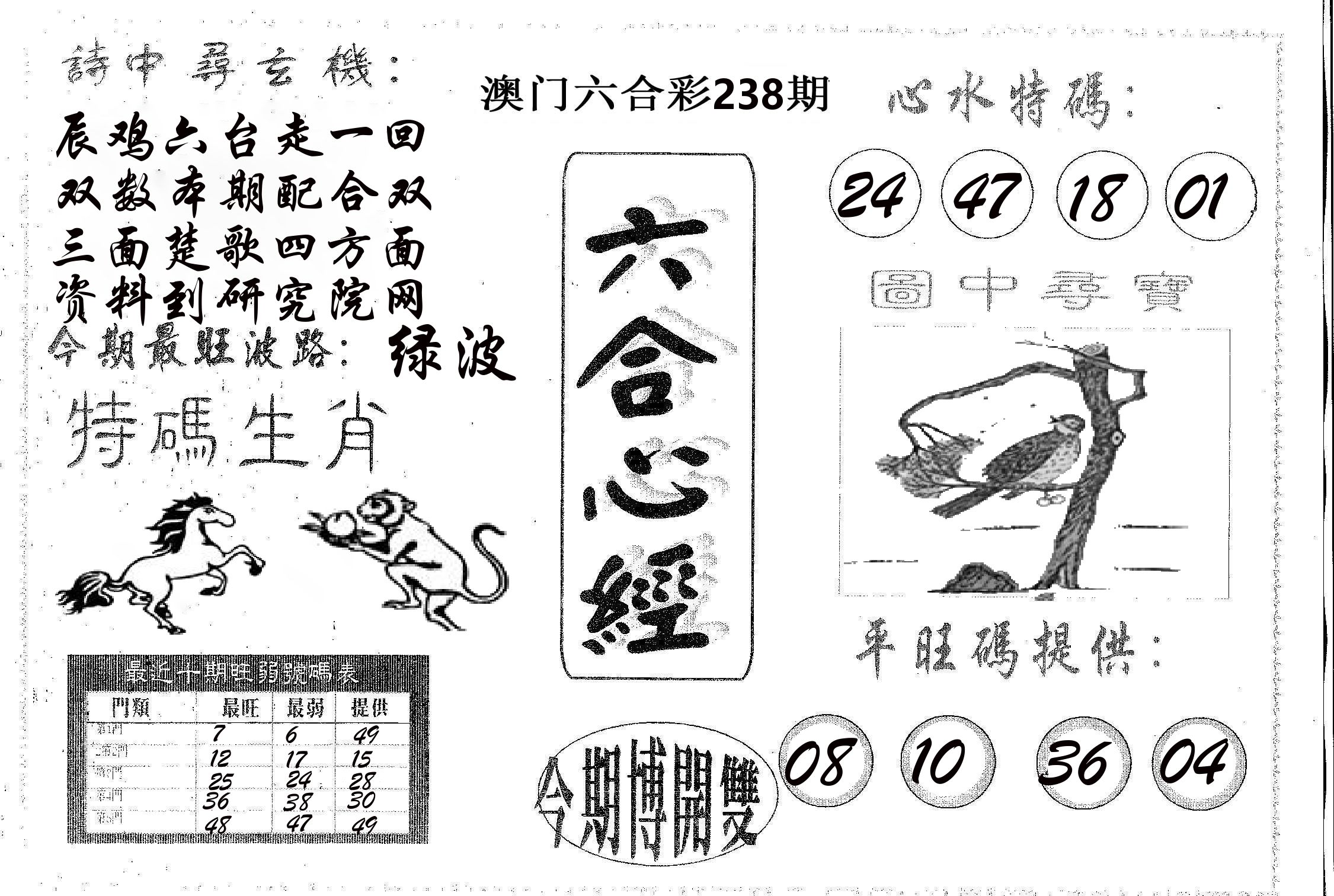 六合心经 第238期