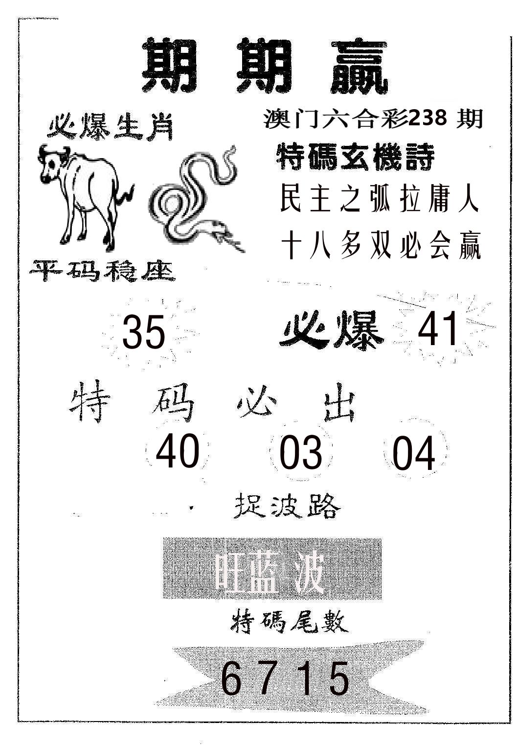期期赢 第238期