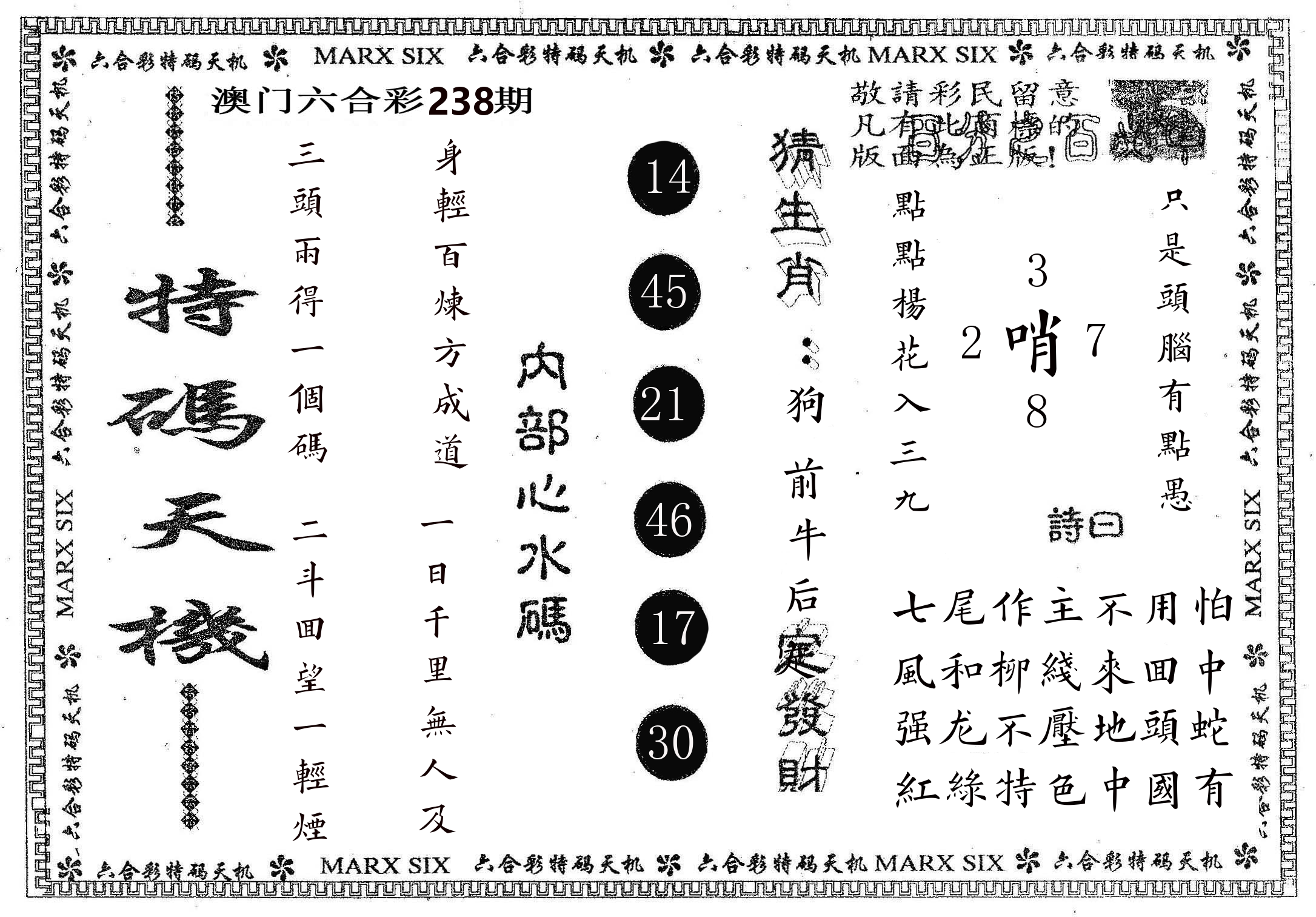 特码天机 第238期