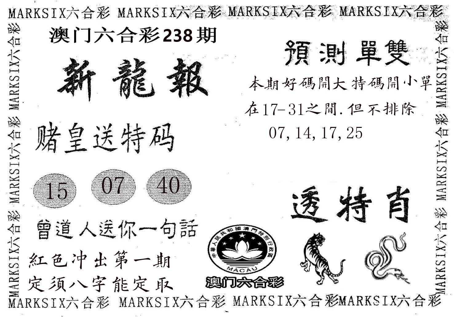 新龙报 第238期