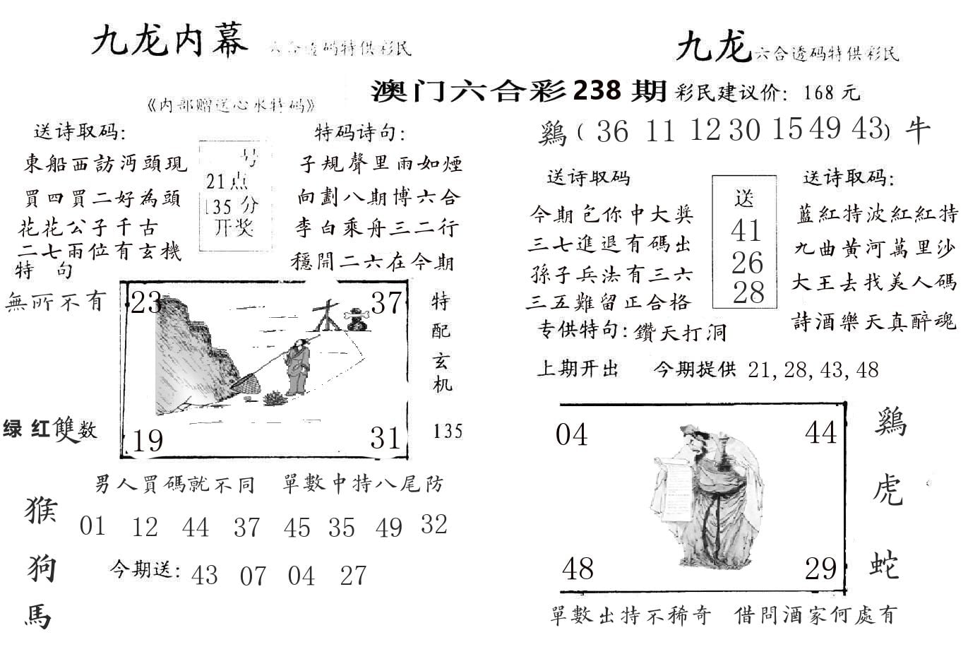 九龙内幕 第238期