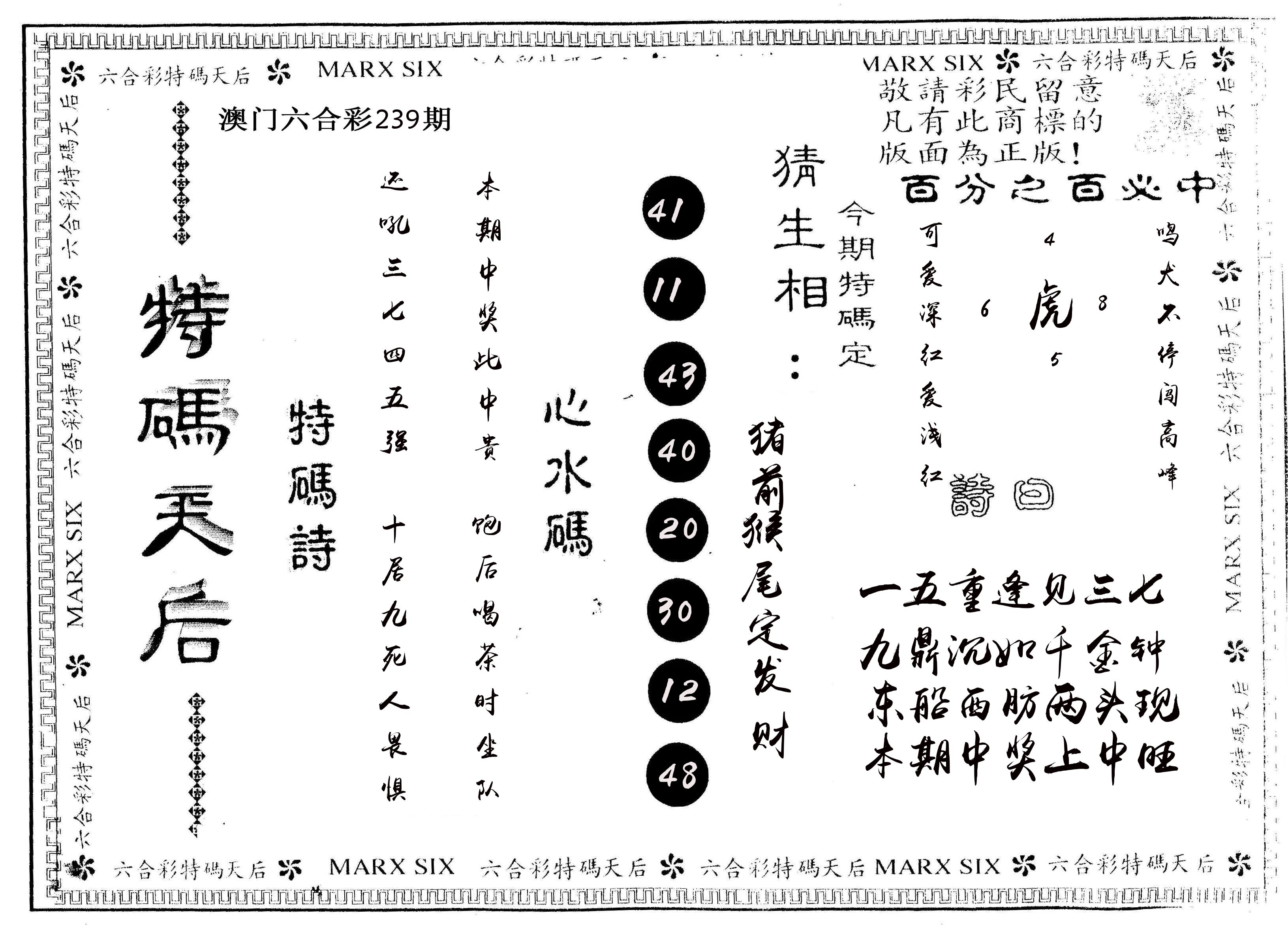 另版特码天后 第239期