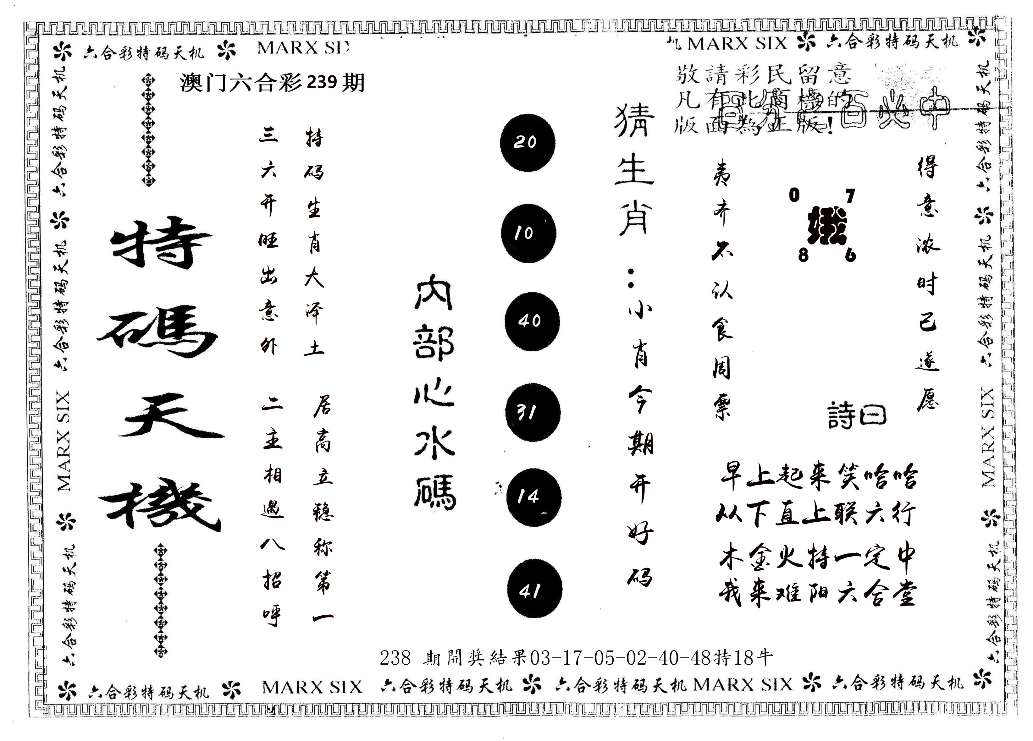 另版特码天机 第239期