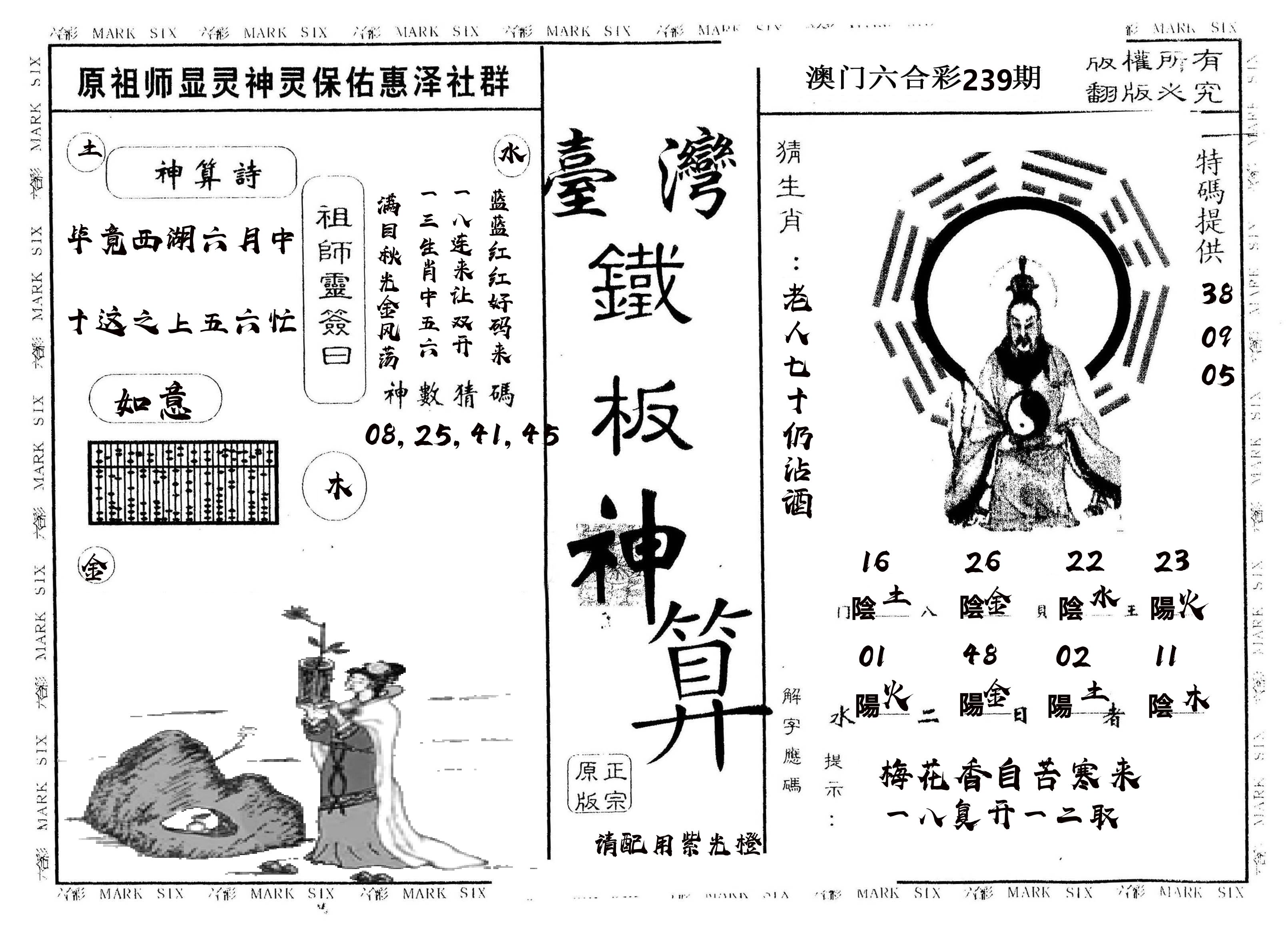 另版台湾铁板 第239期