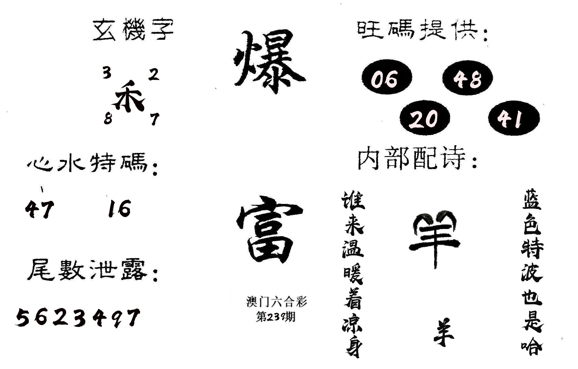 爆富 第239期