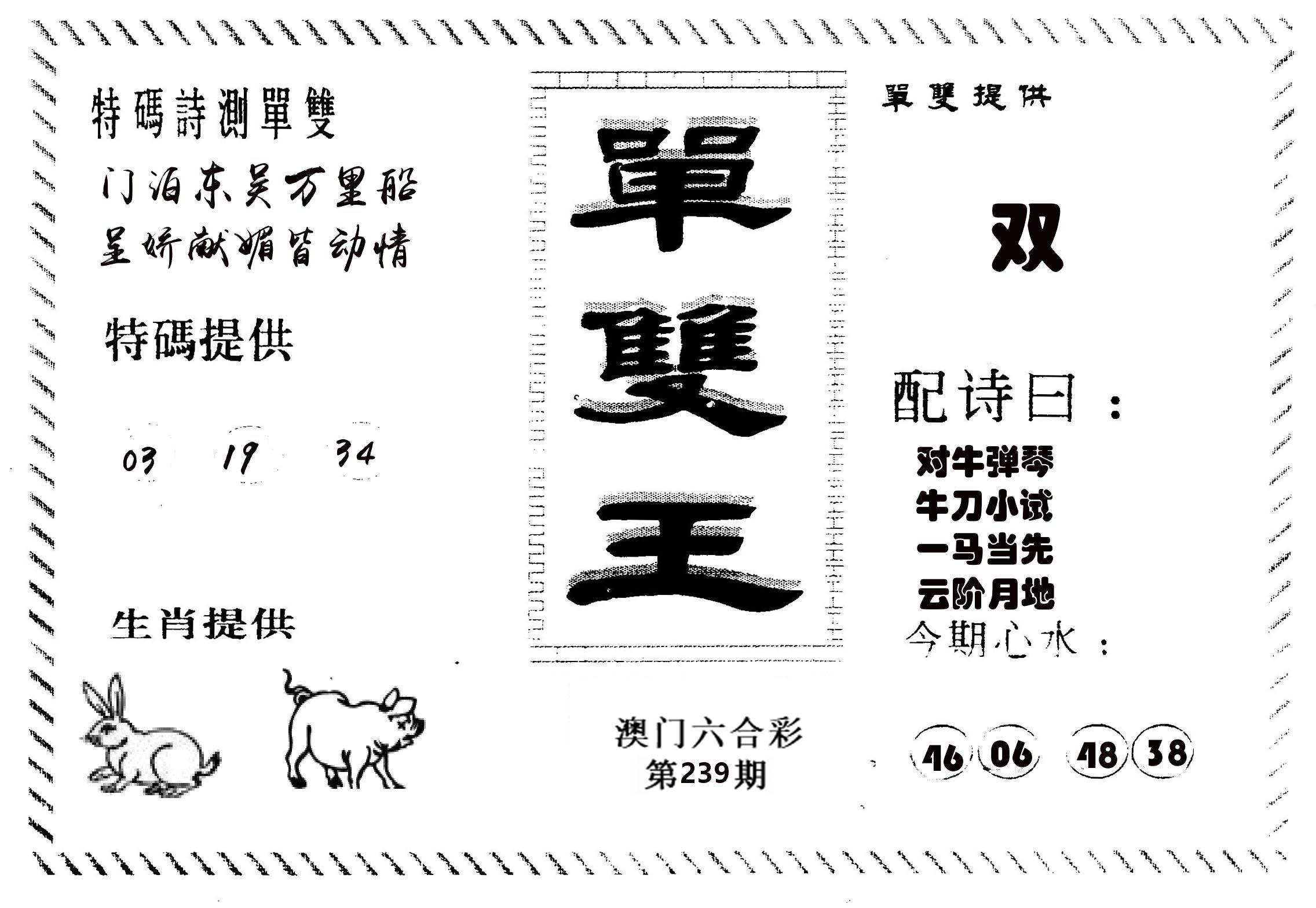 单双王B 第239期