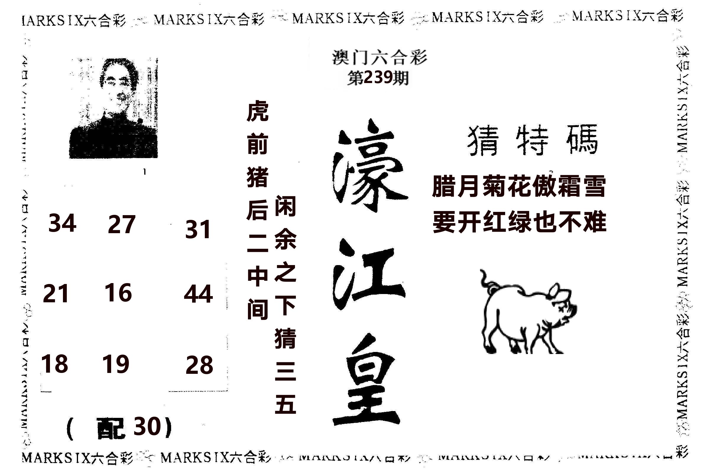 濠江皇 第239期