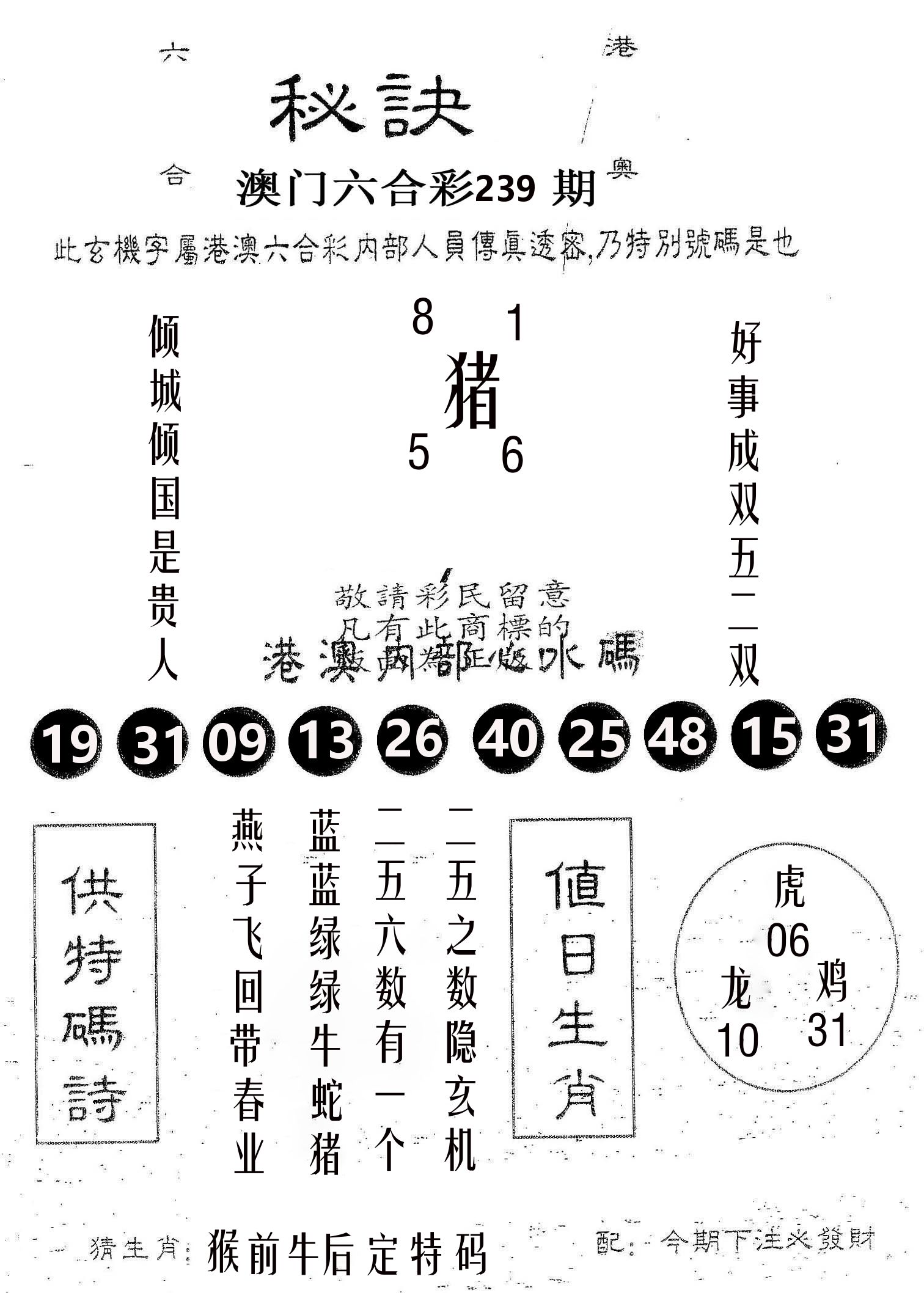 秘决 第239期