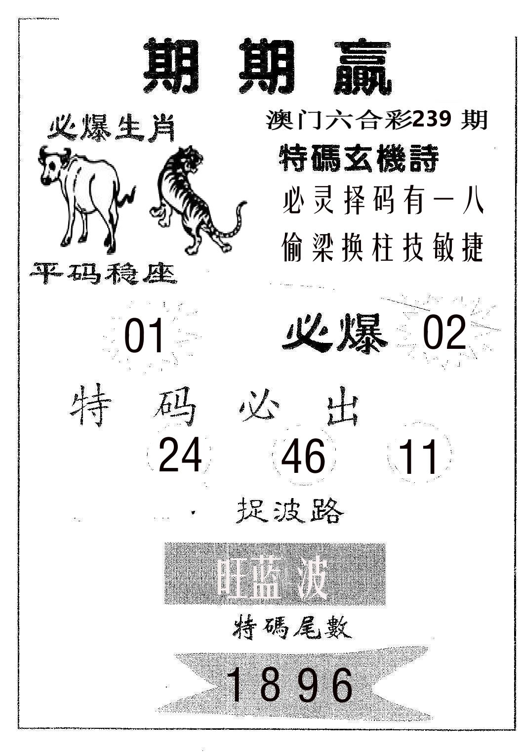 期期赢 第239期