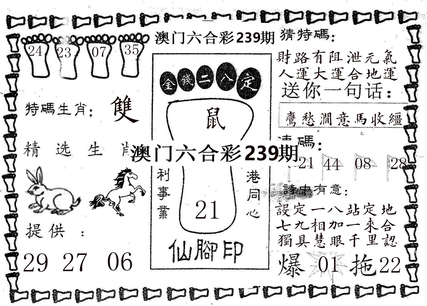 仙脚印 第239期