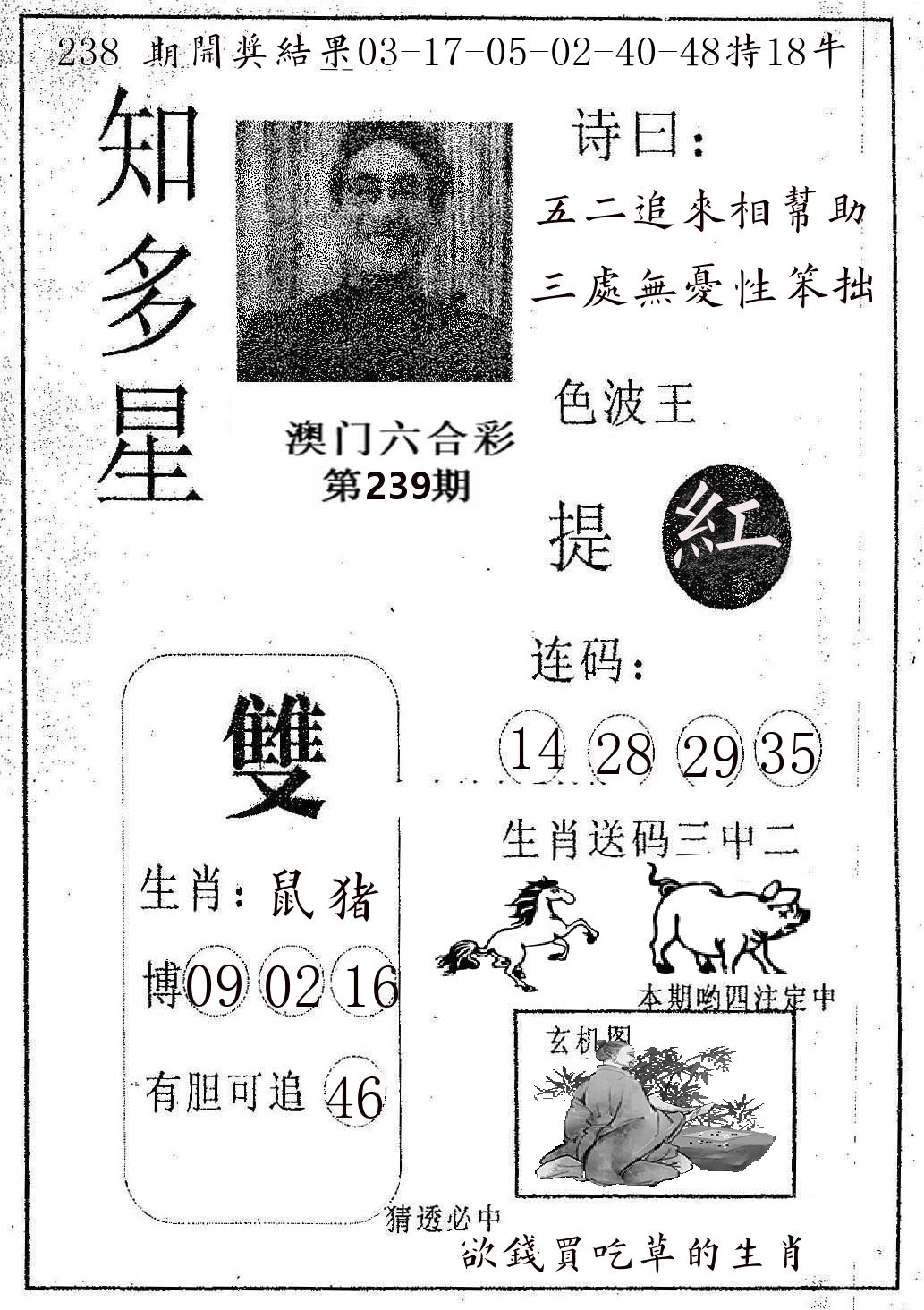 知多星 第239期