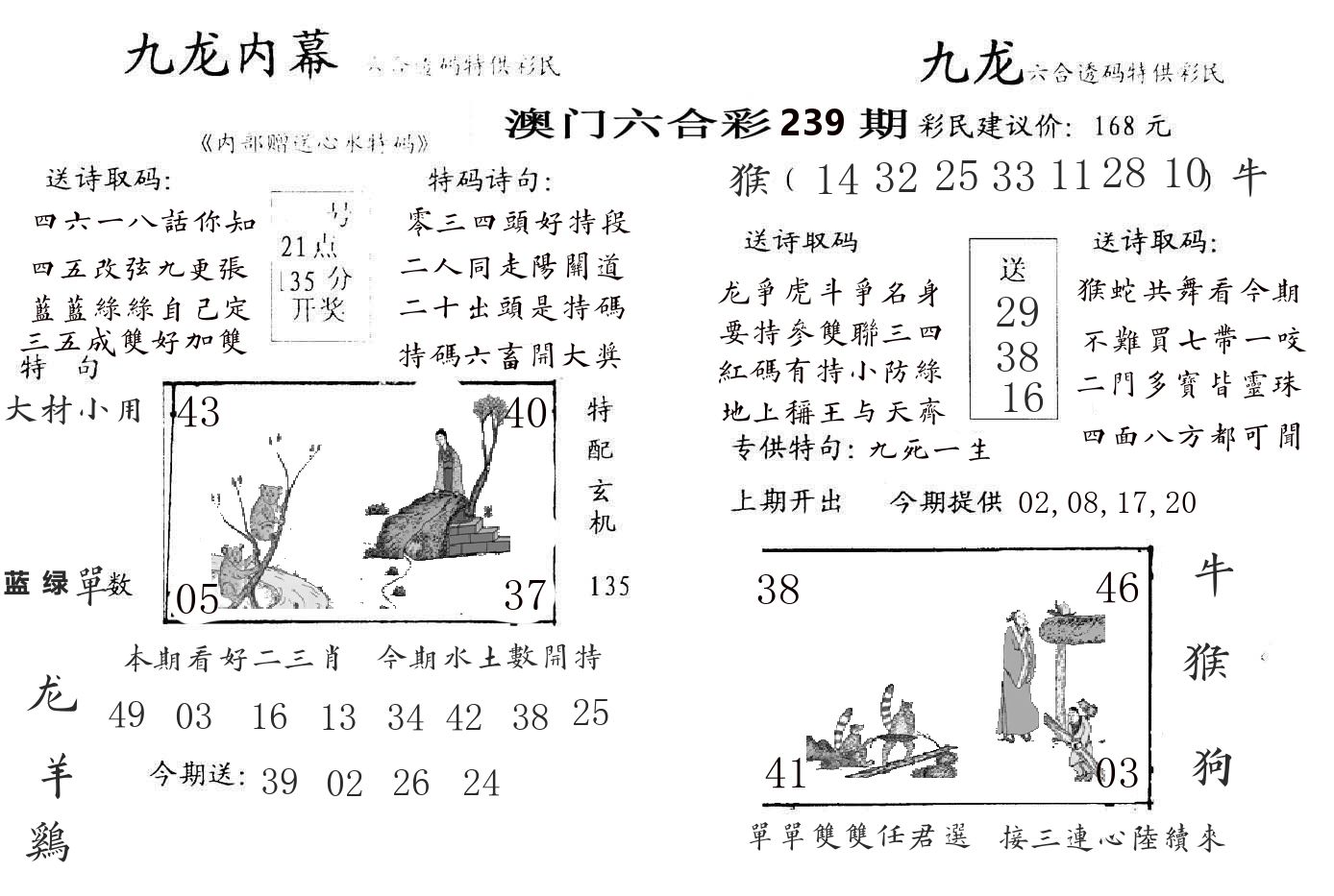 九龙内幕 第239期